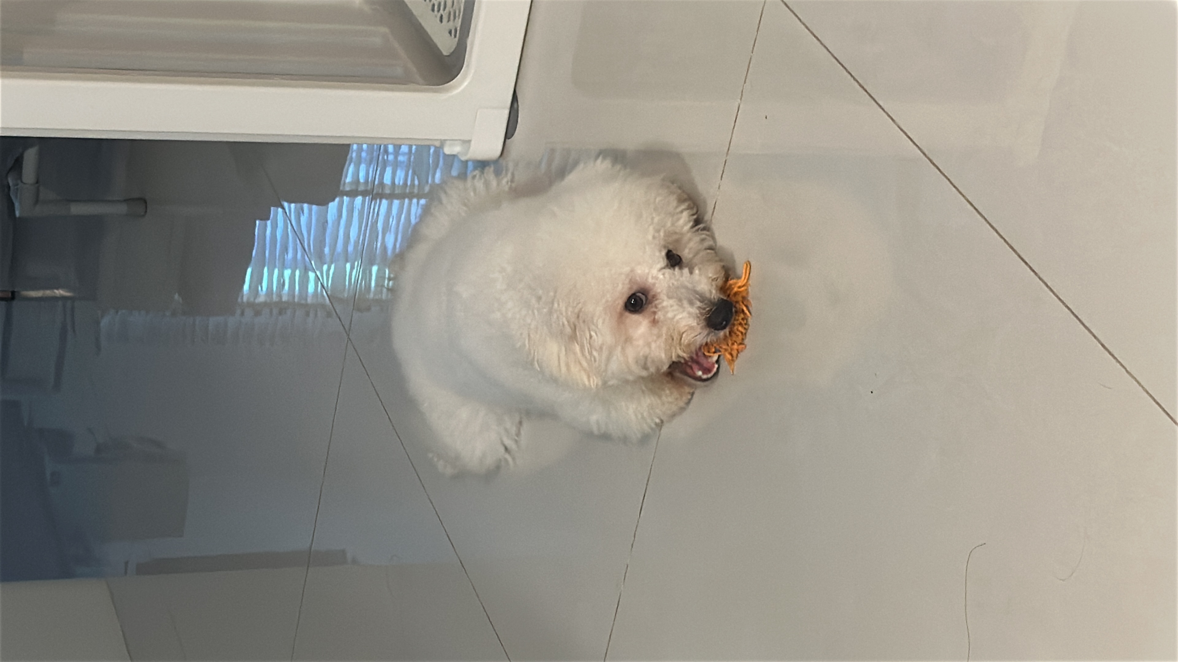 image-7
