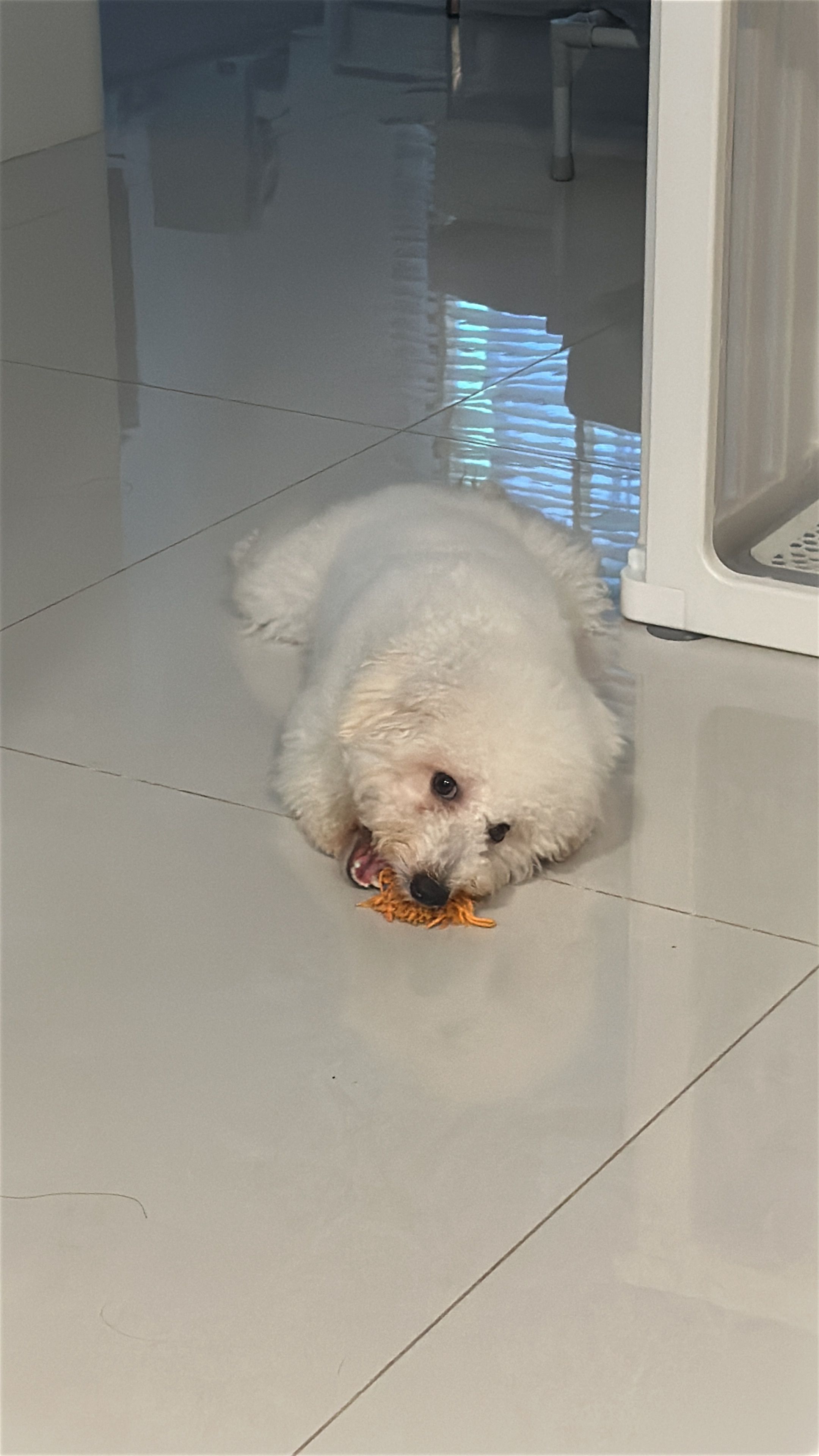 image-7