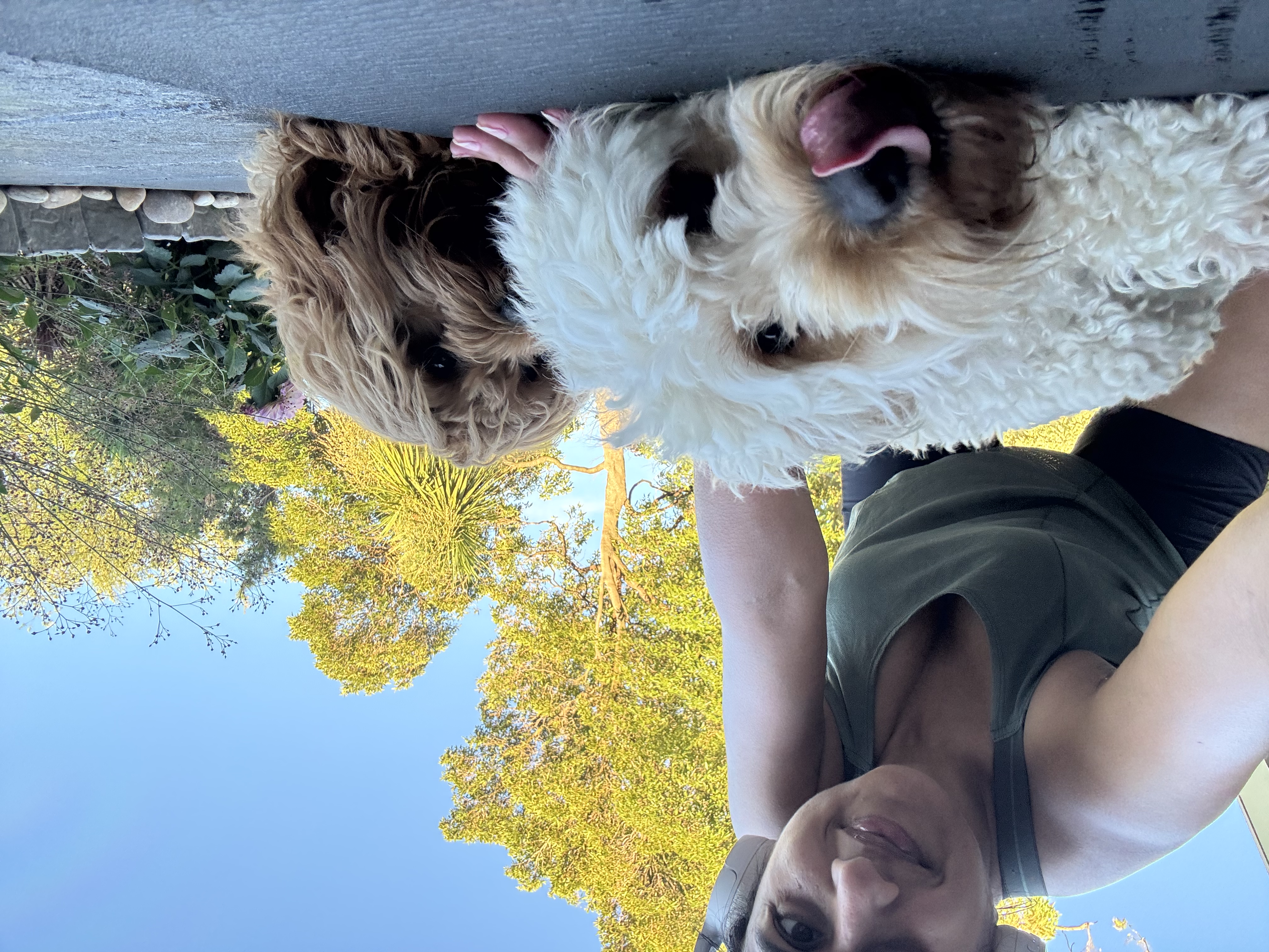 image-6