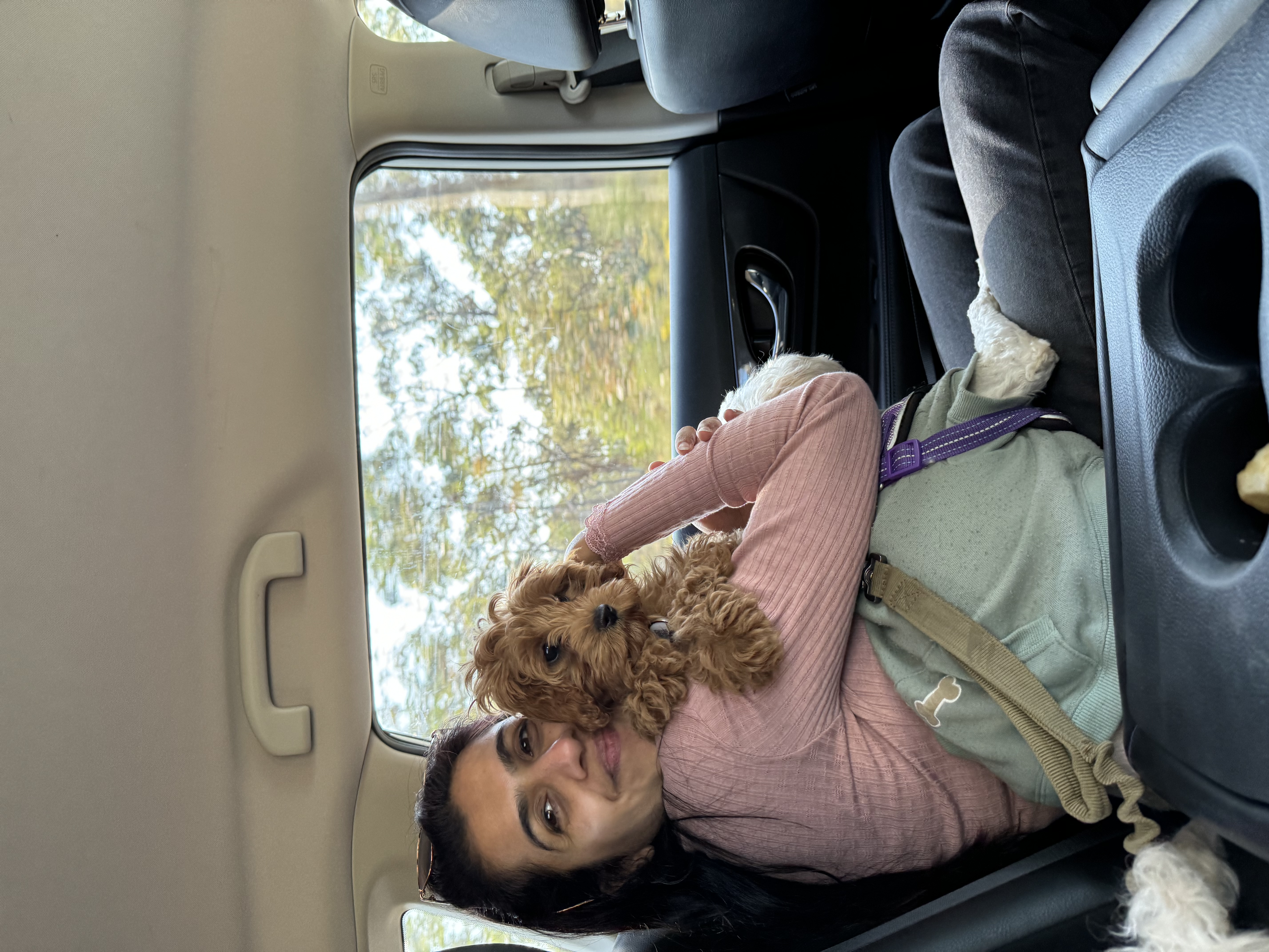 image-5