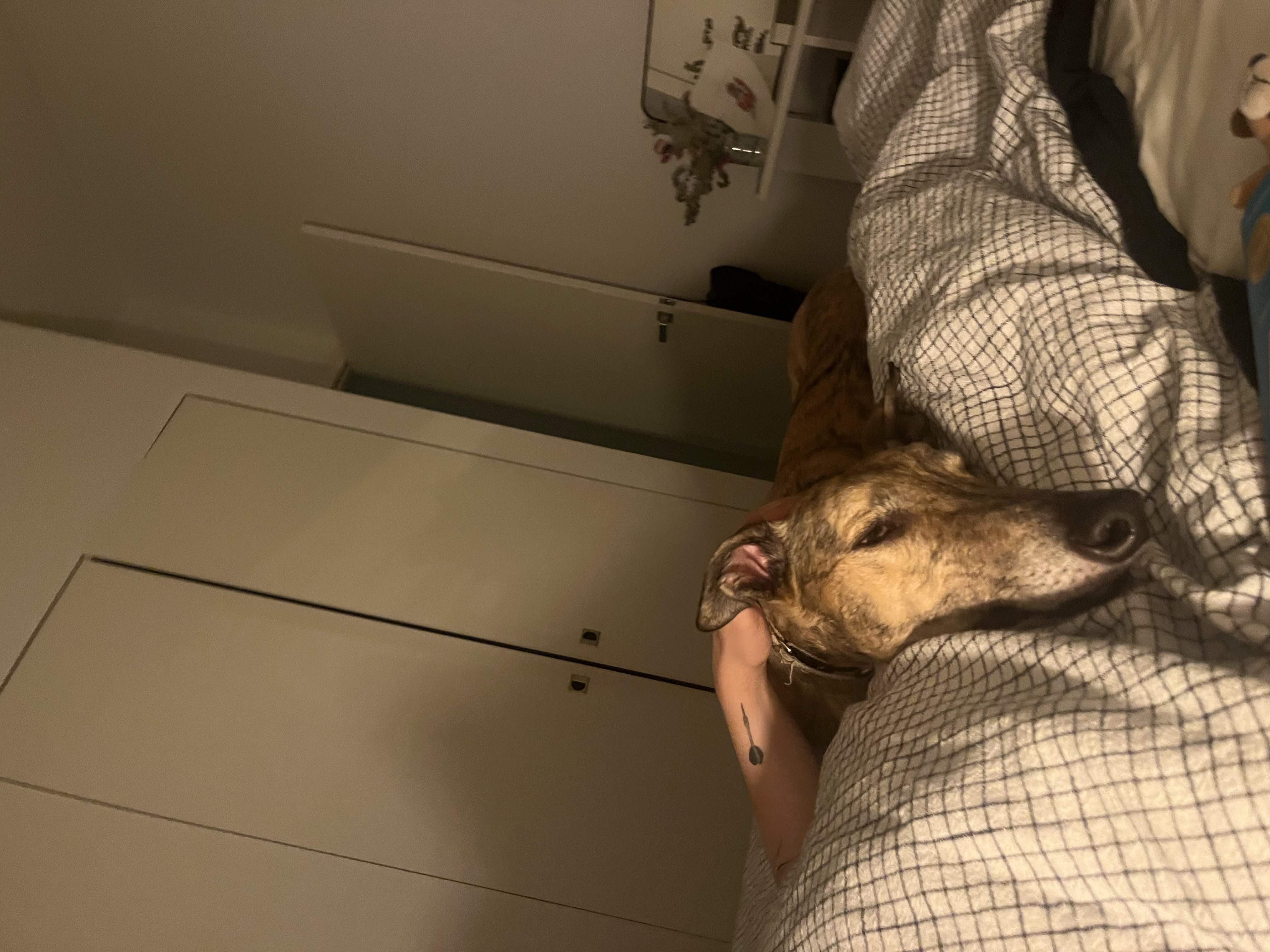 image-10