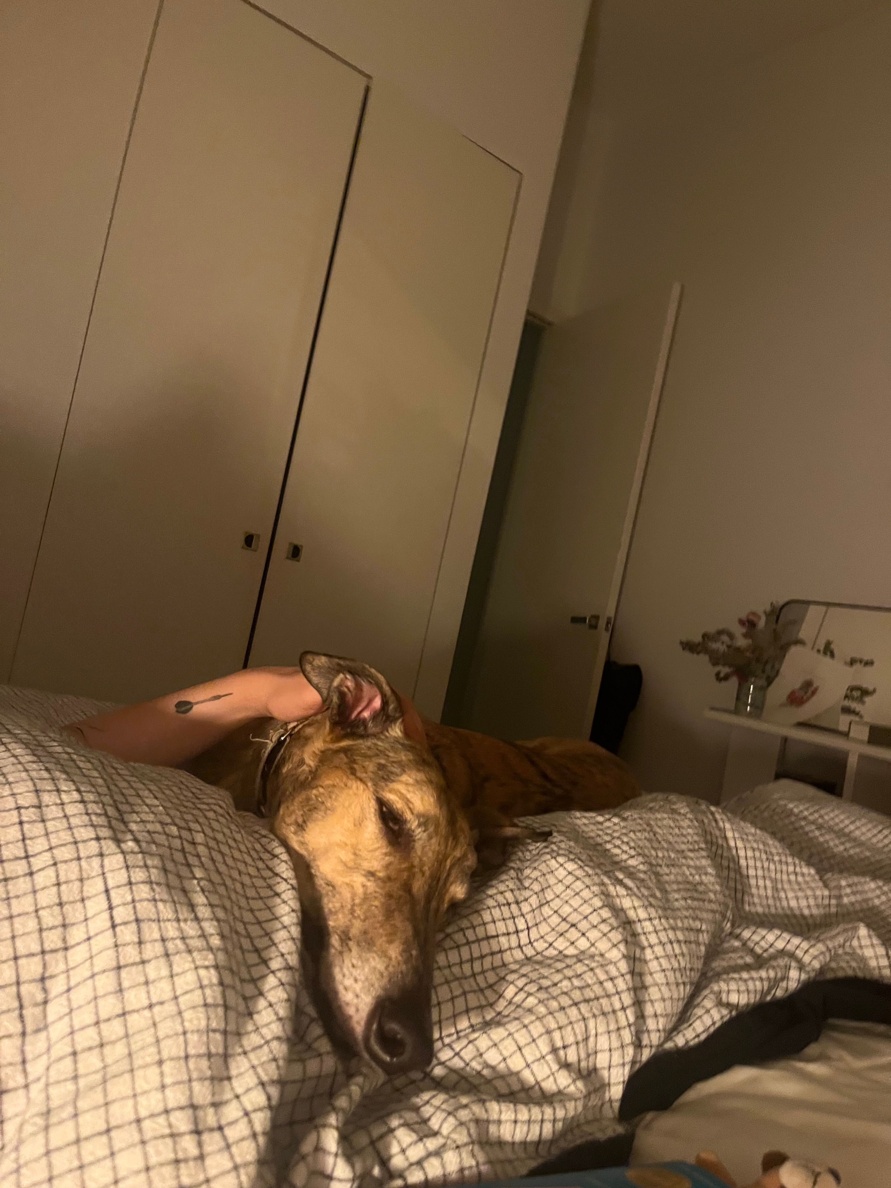 image-10