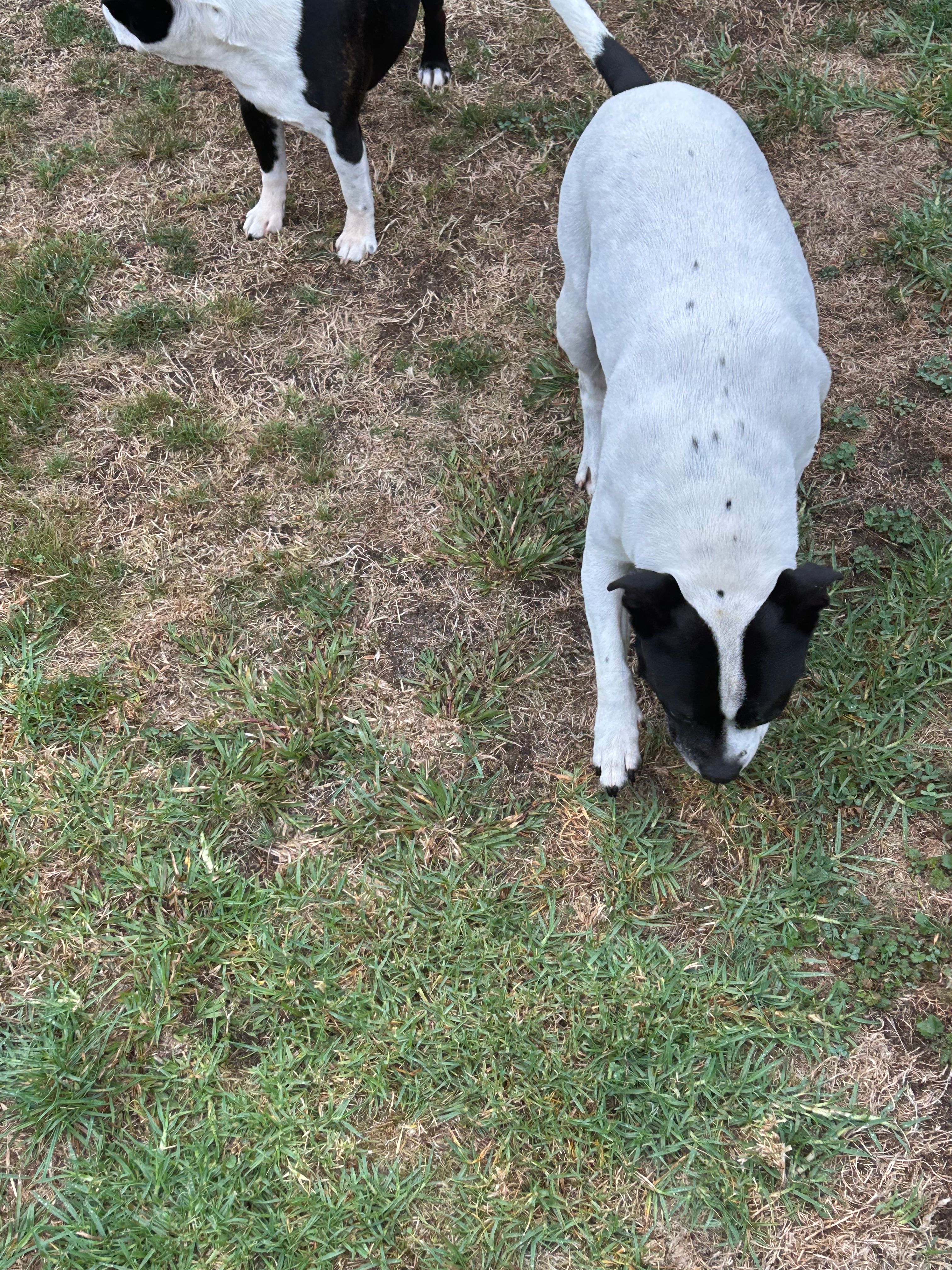 image-12