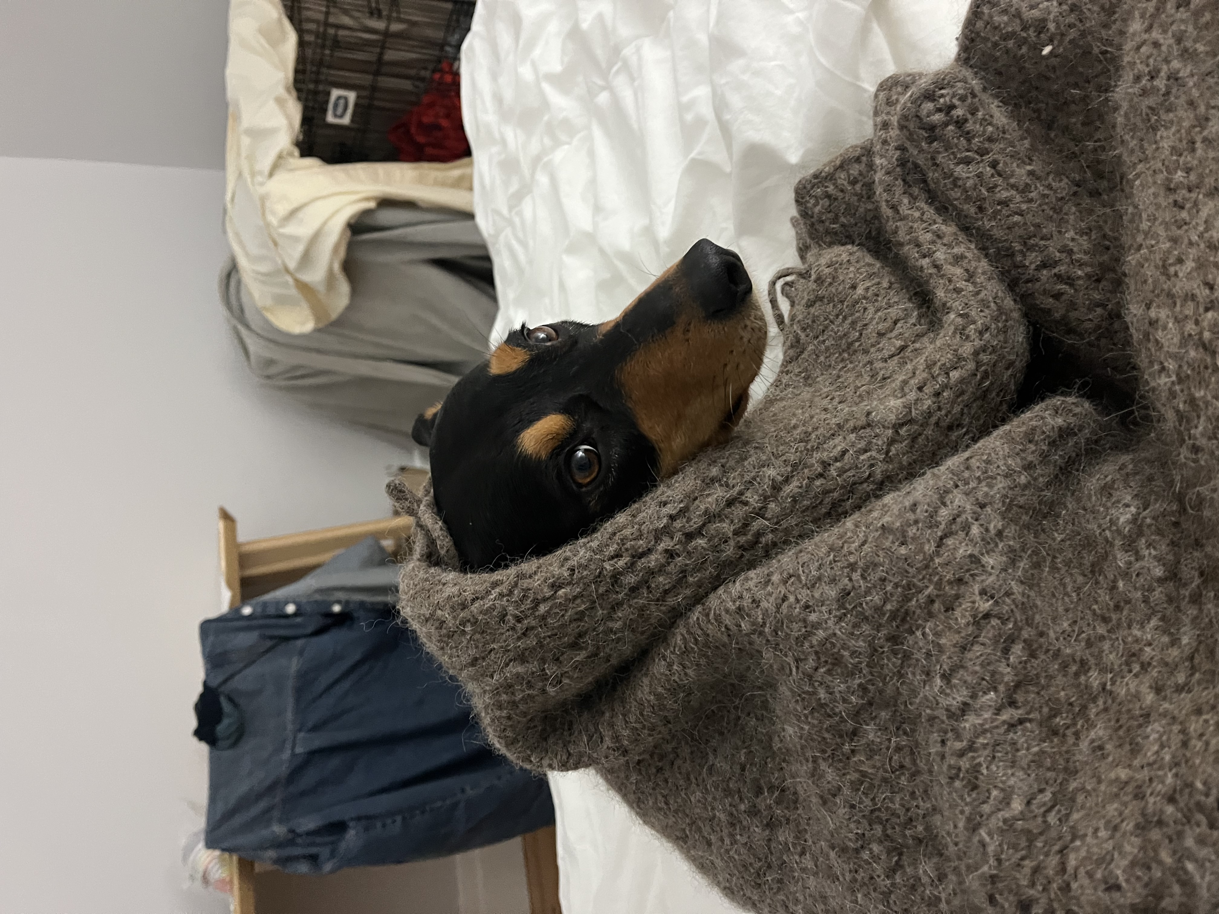 image-7