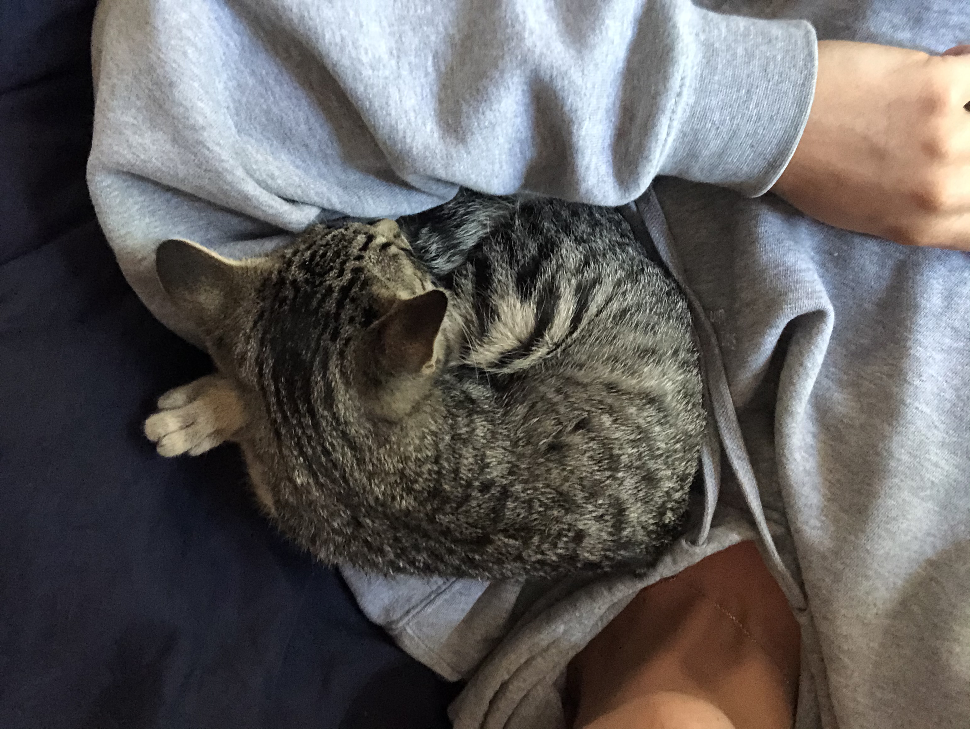 image-8