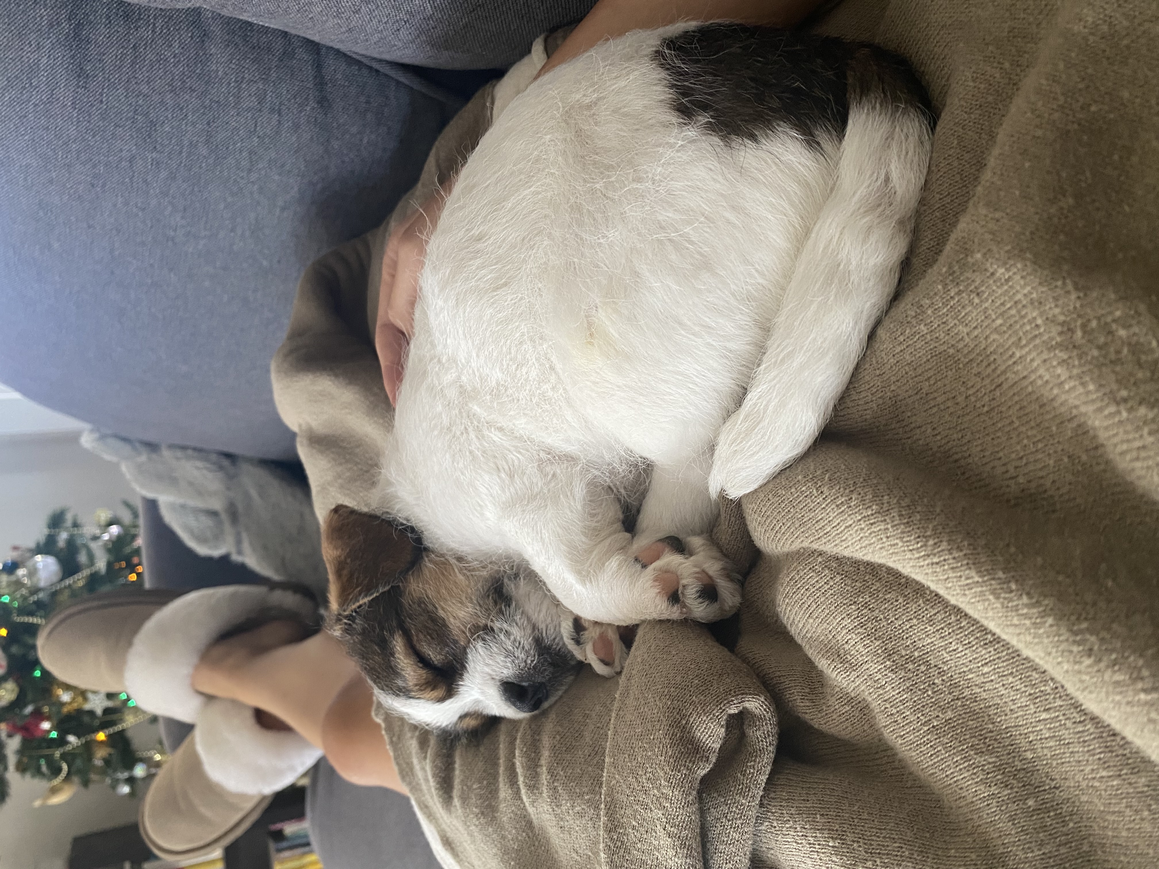 image-9