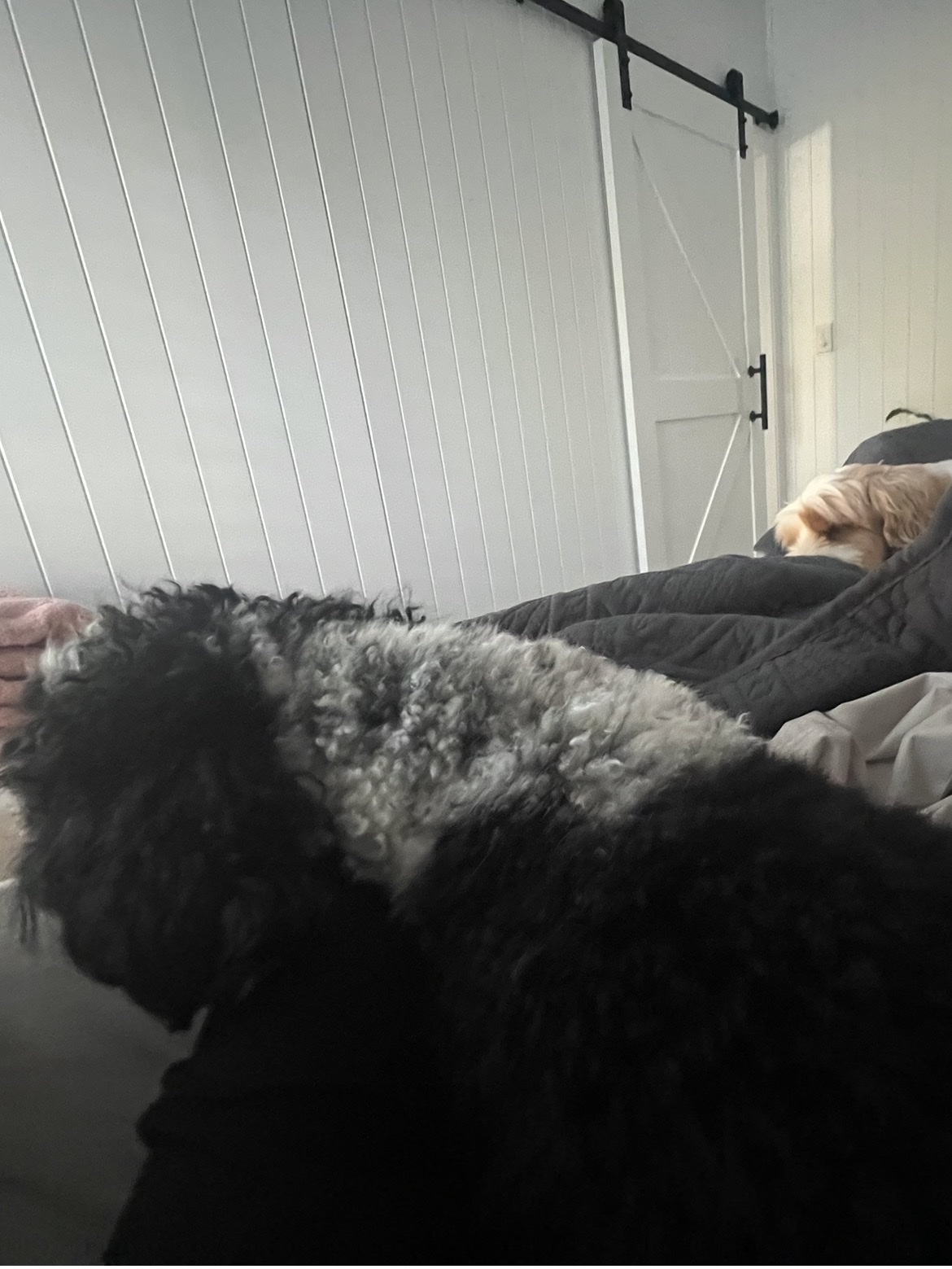 image-9
