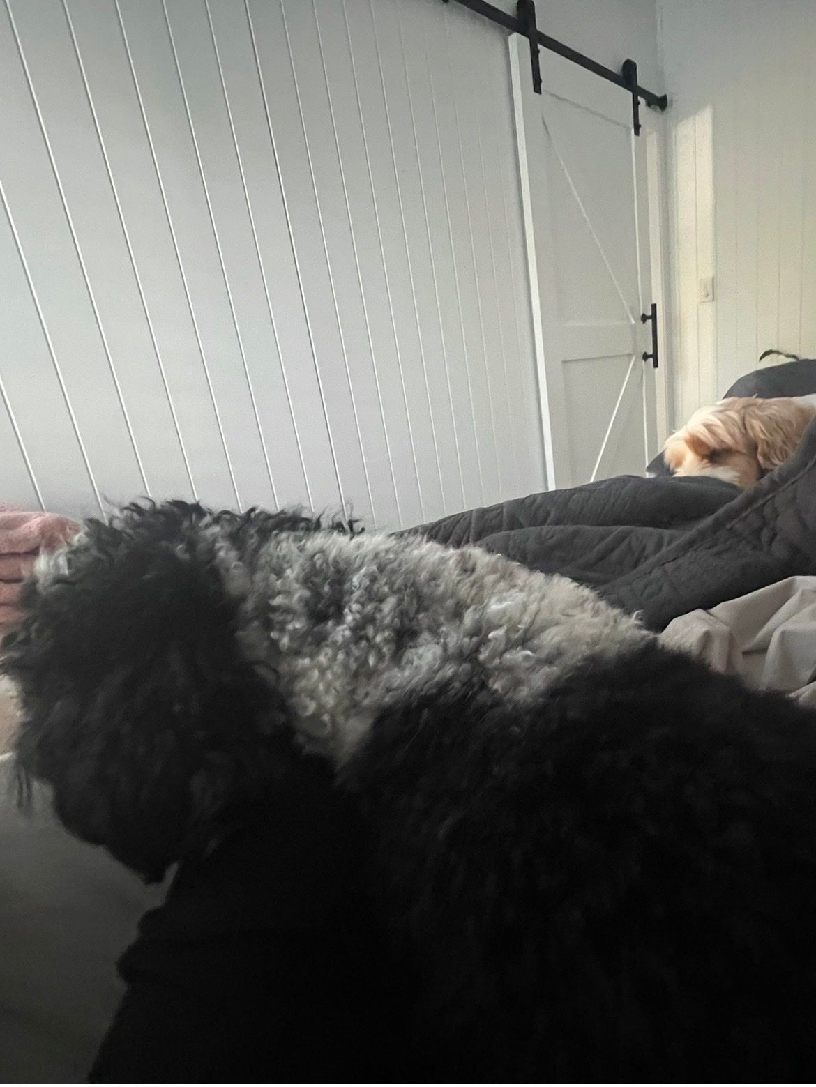 image-9