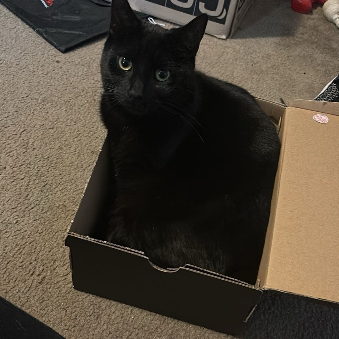 Luna 