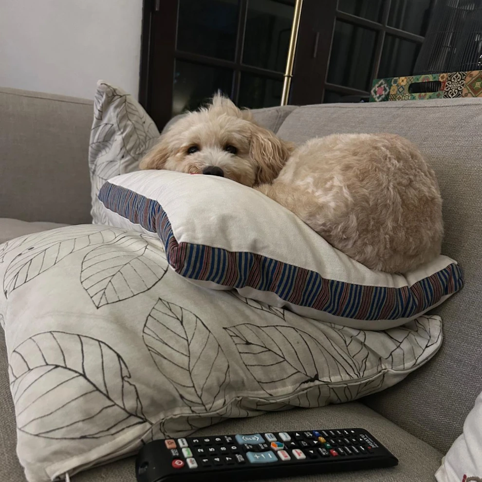 Coco 