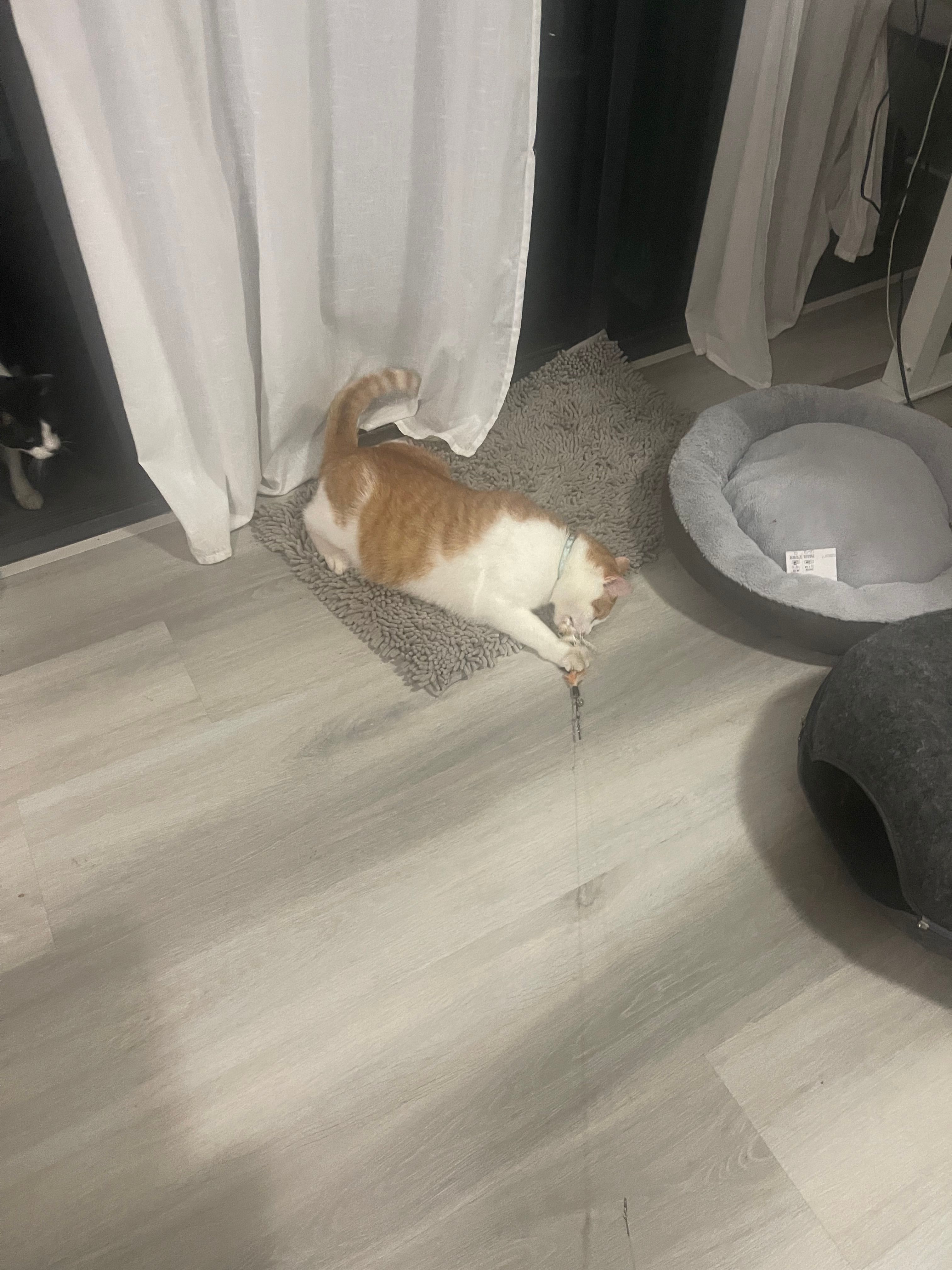 image-9