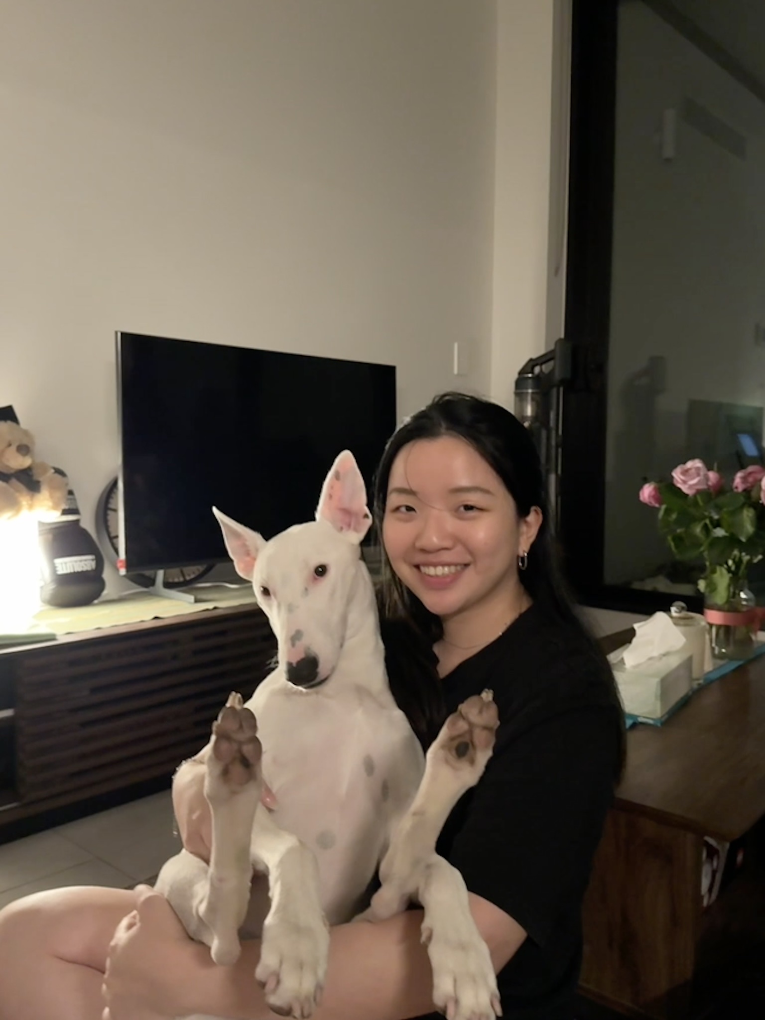 image-6