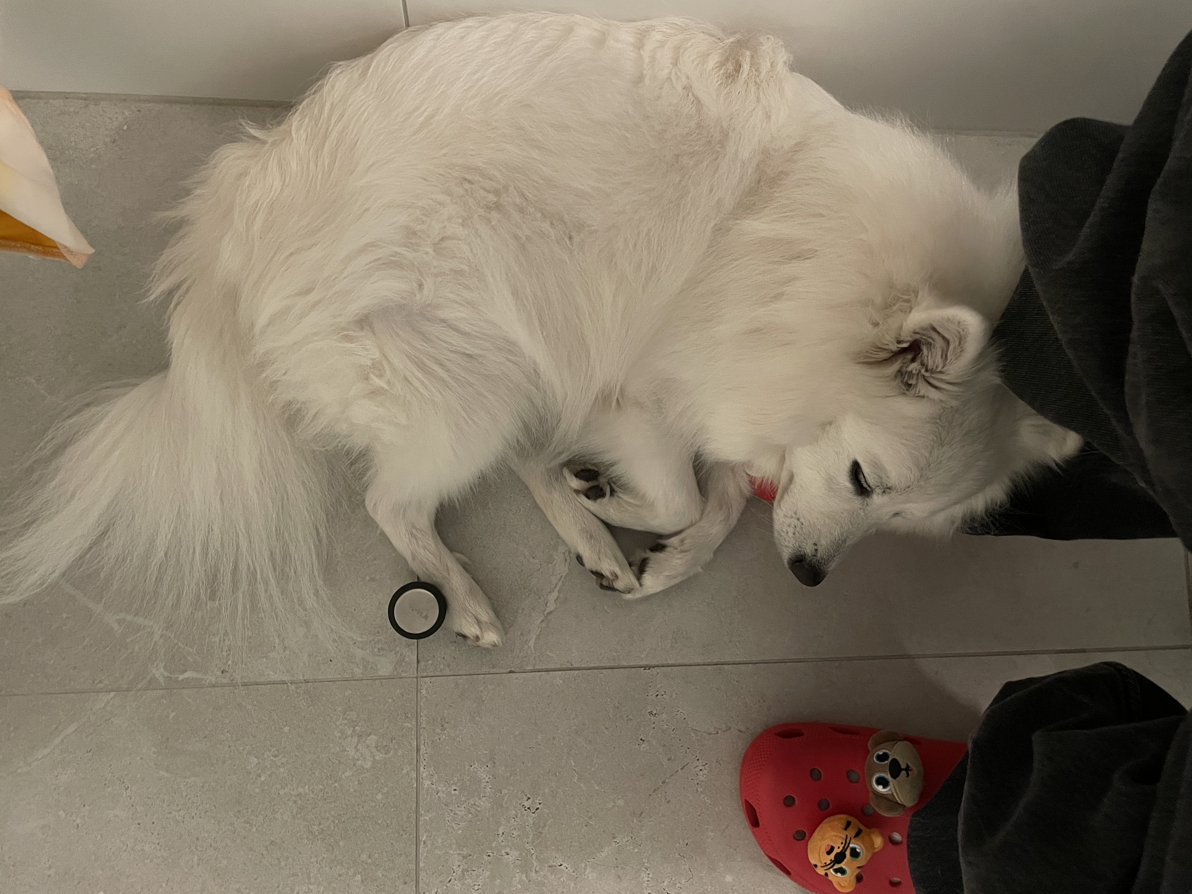 image-10
