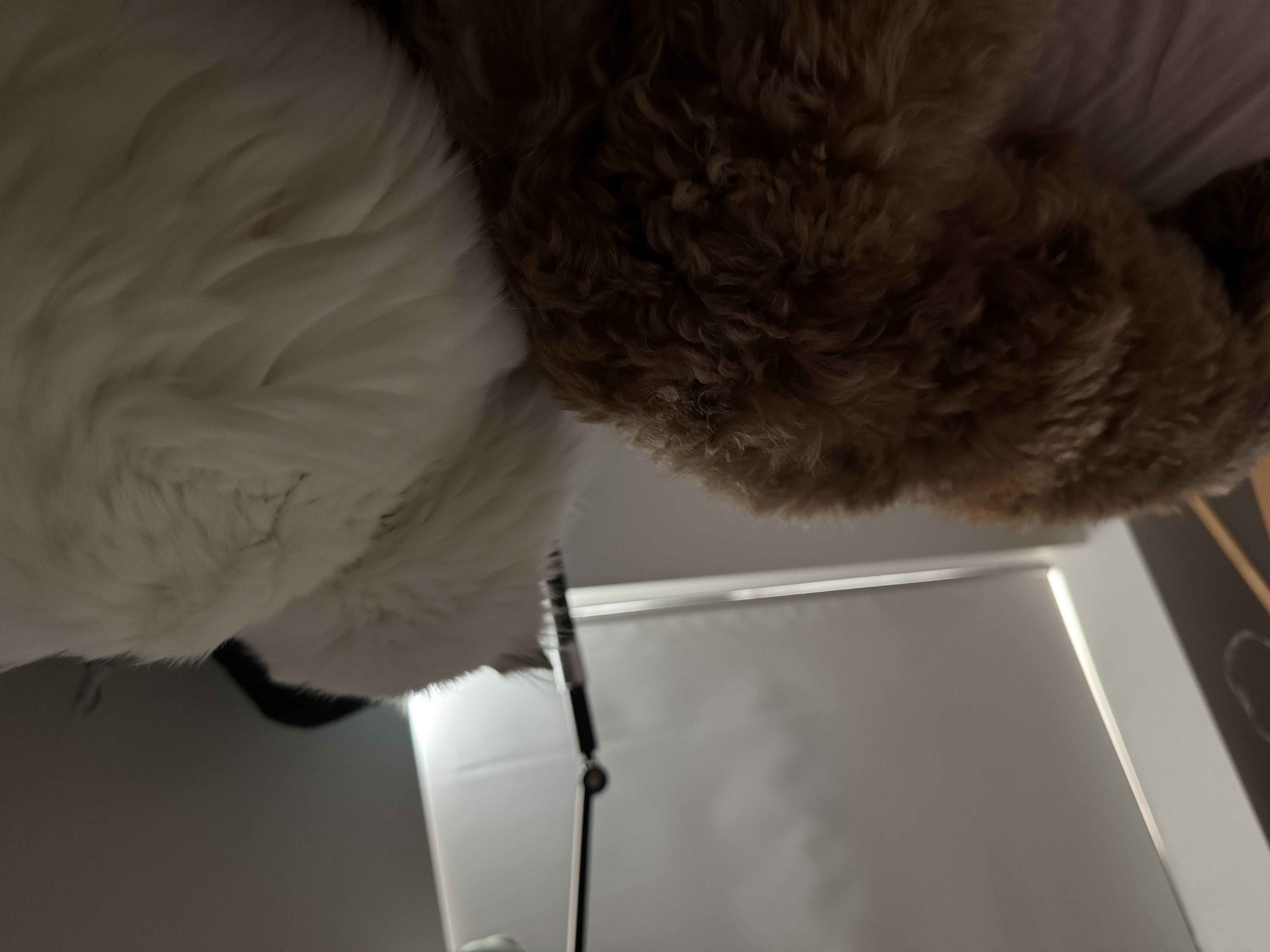 image-6