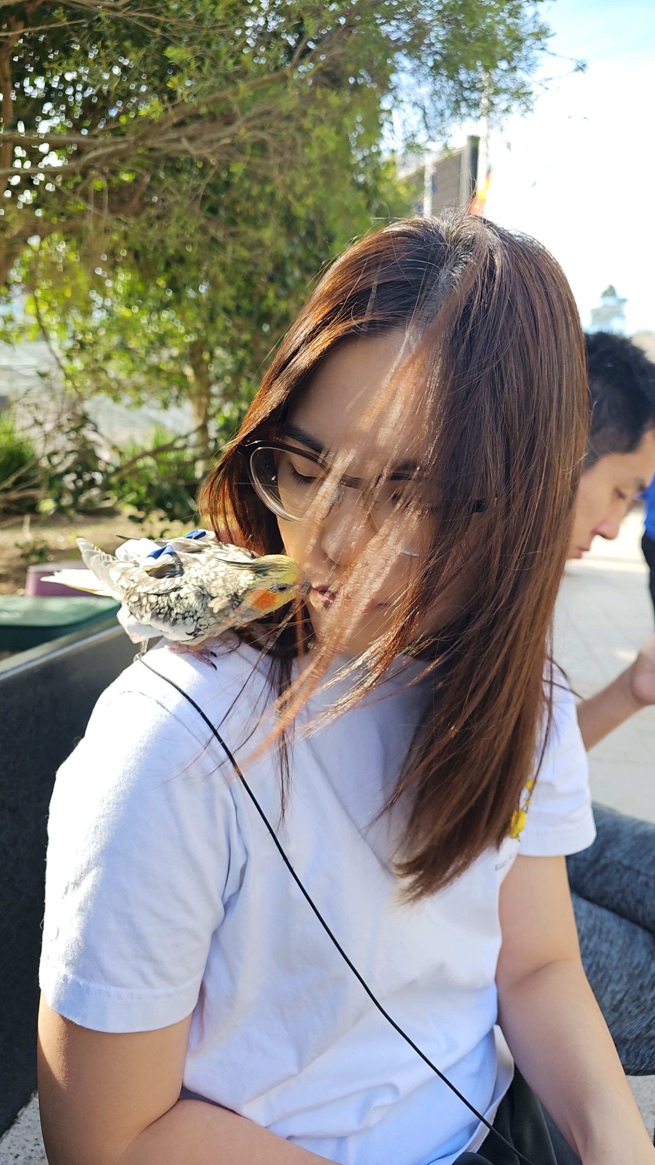image-7