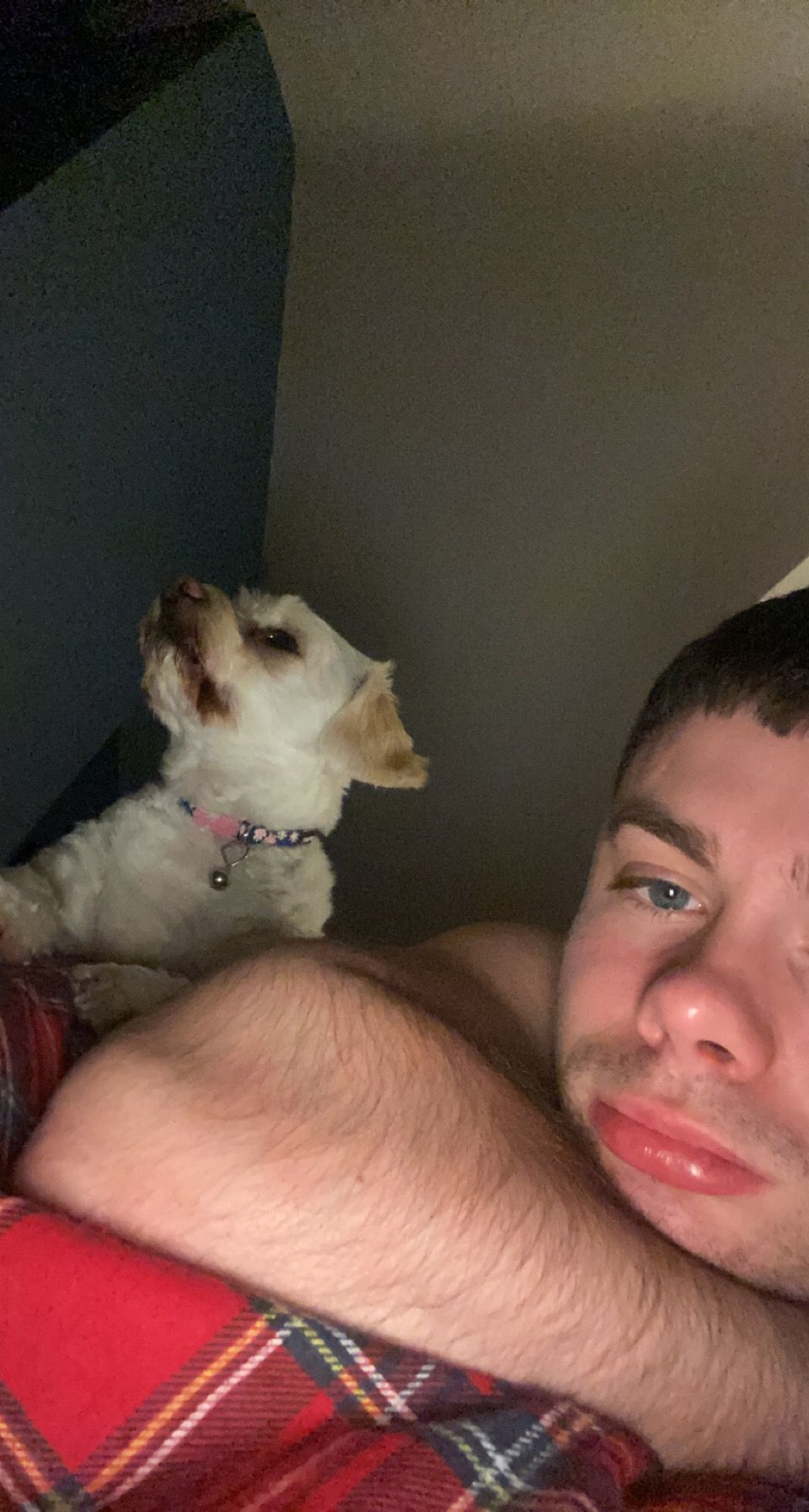 image-6