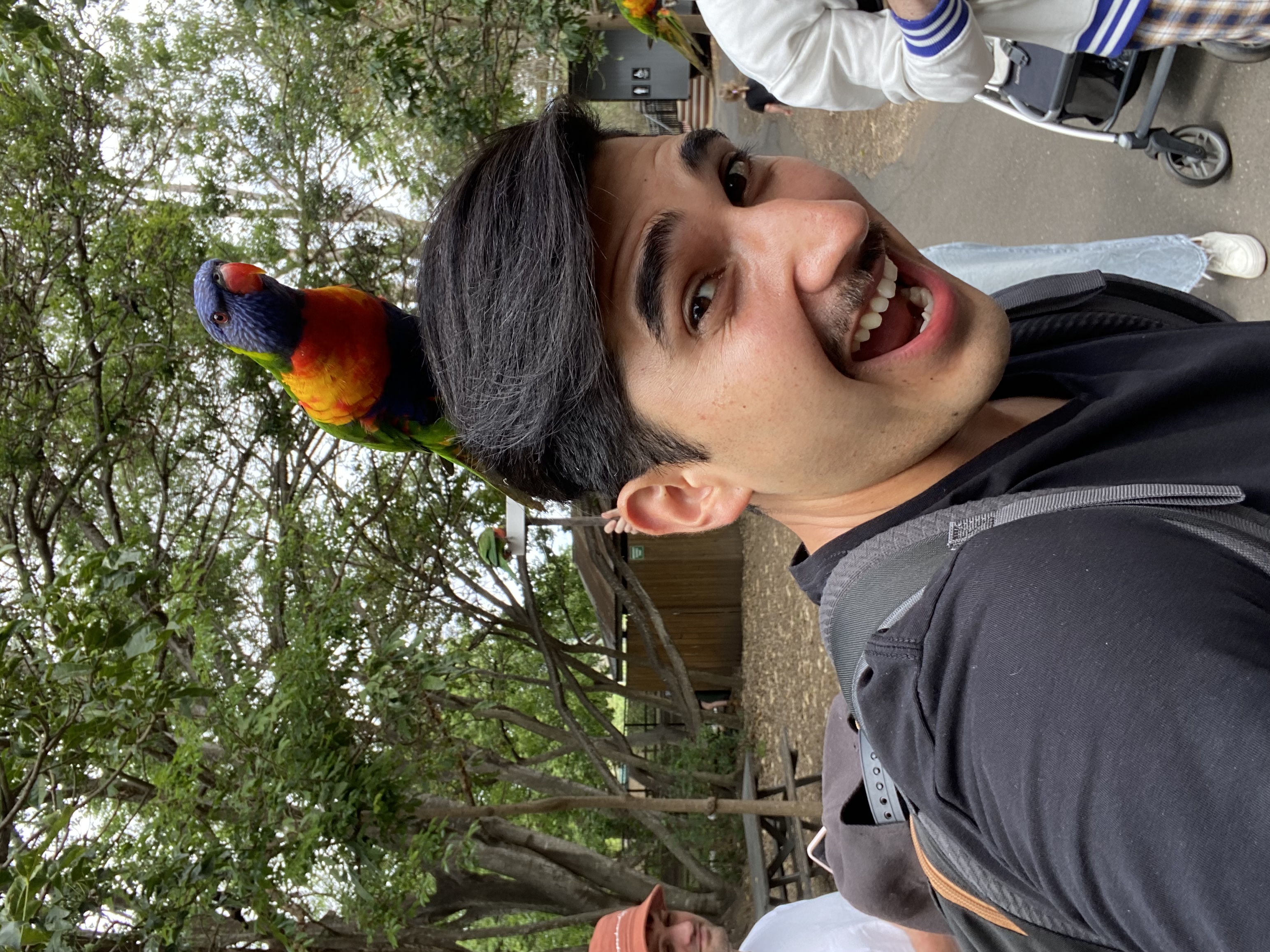 image-6