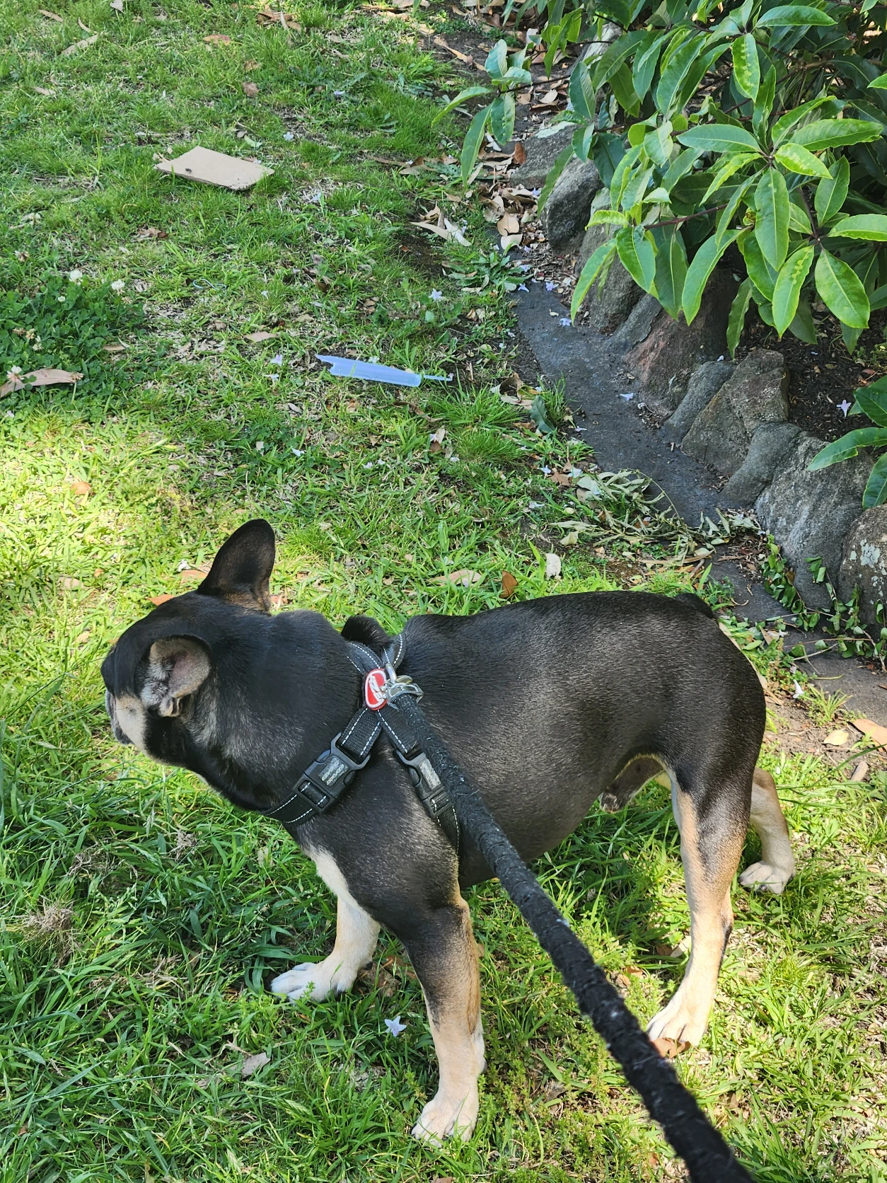image-12