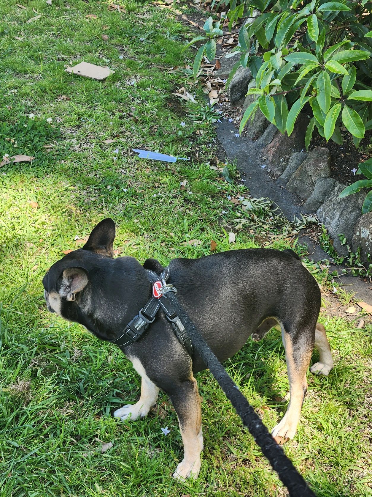 image-12