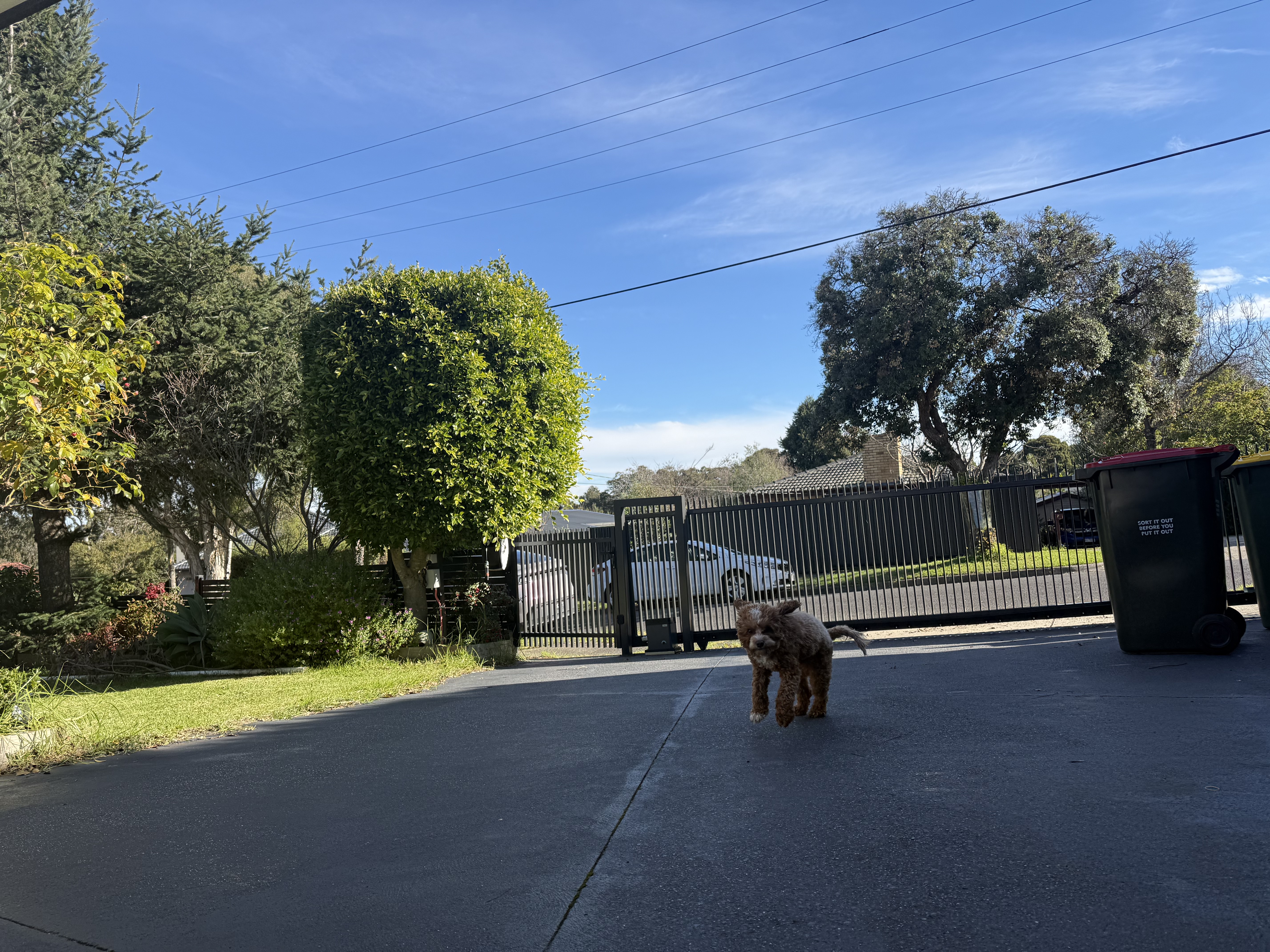 image-11