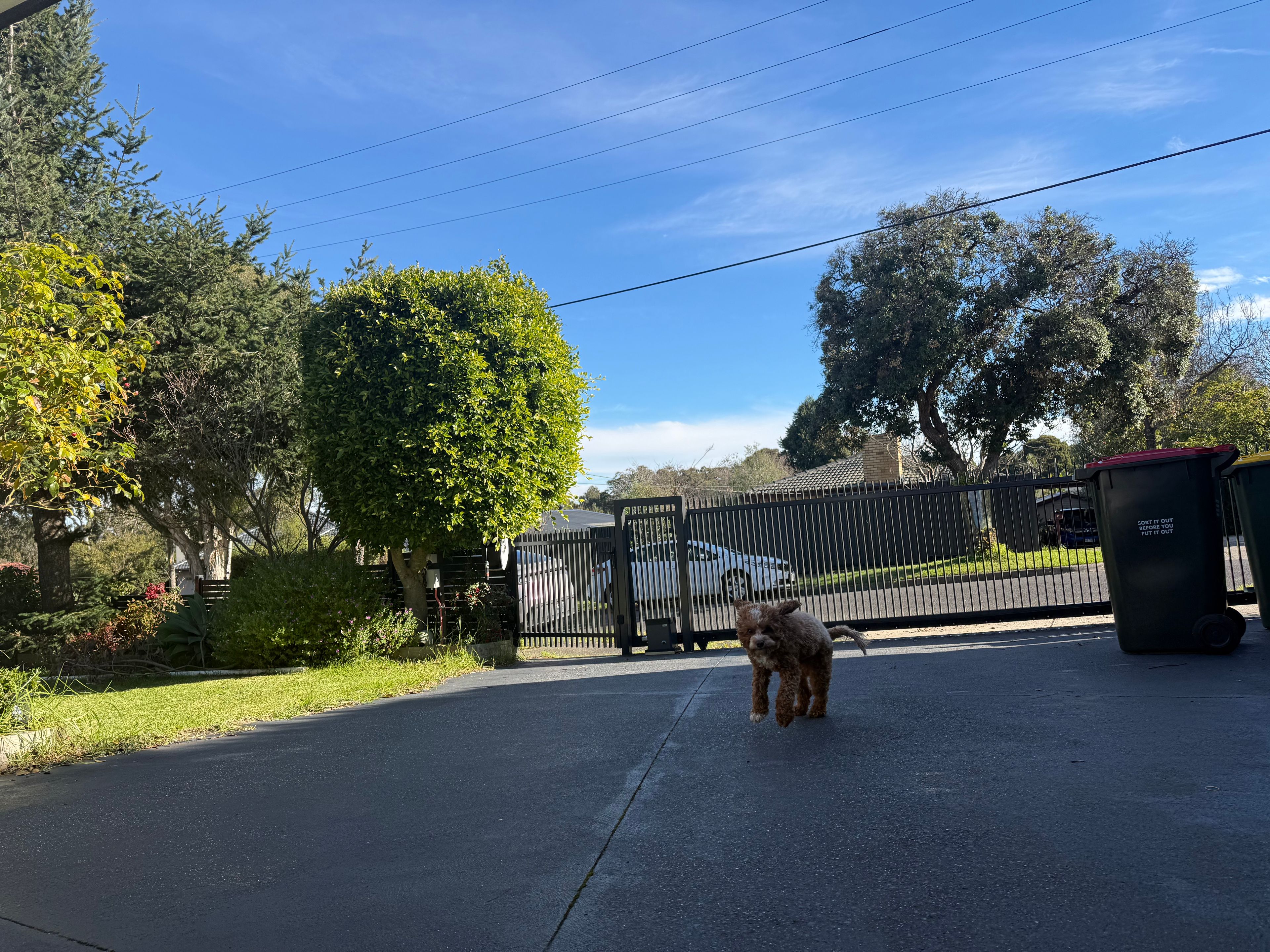 image-11