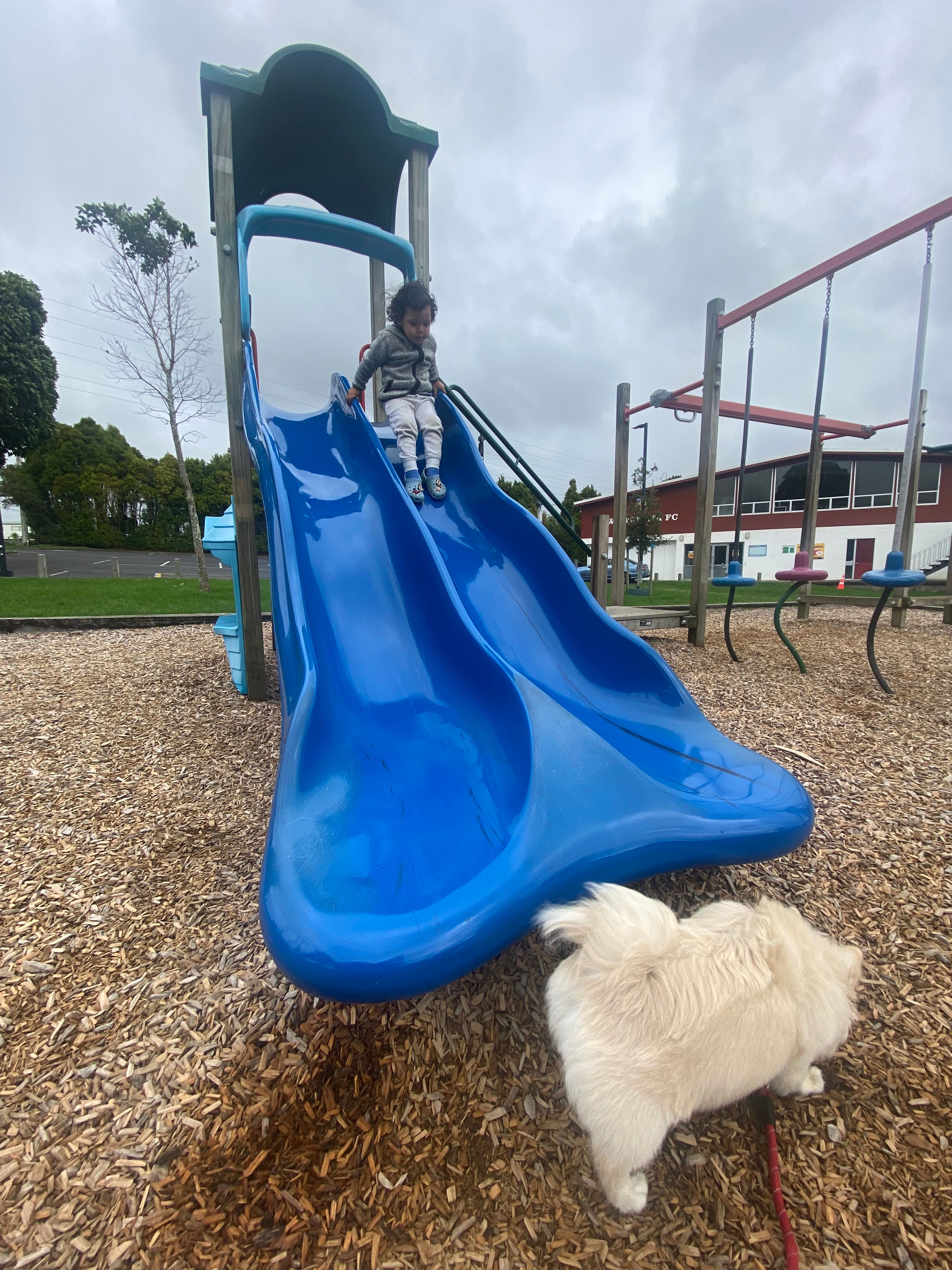 image-15