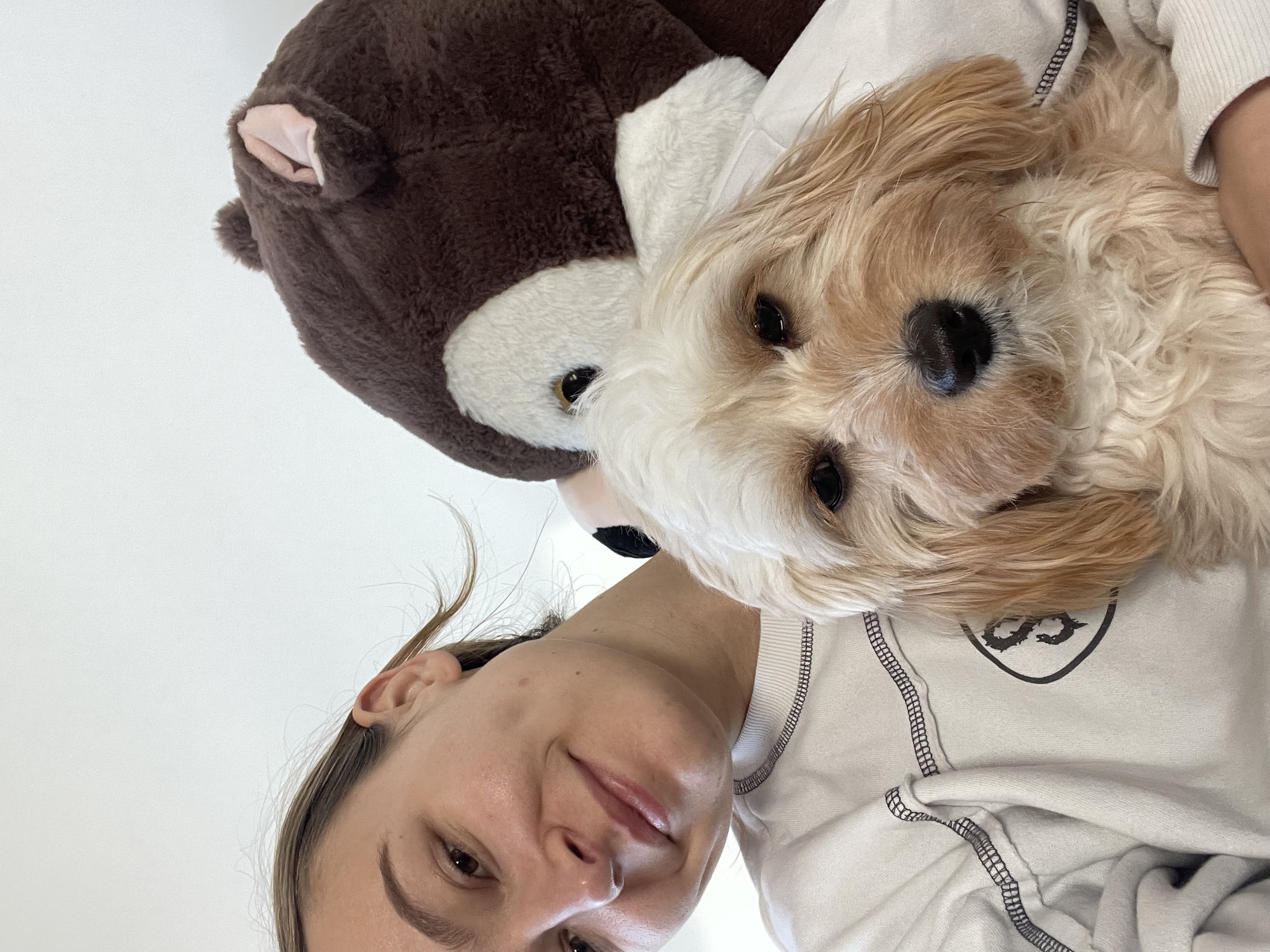 image-4