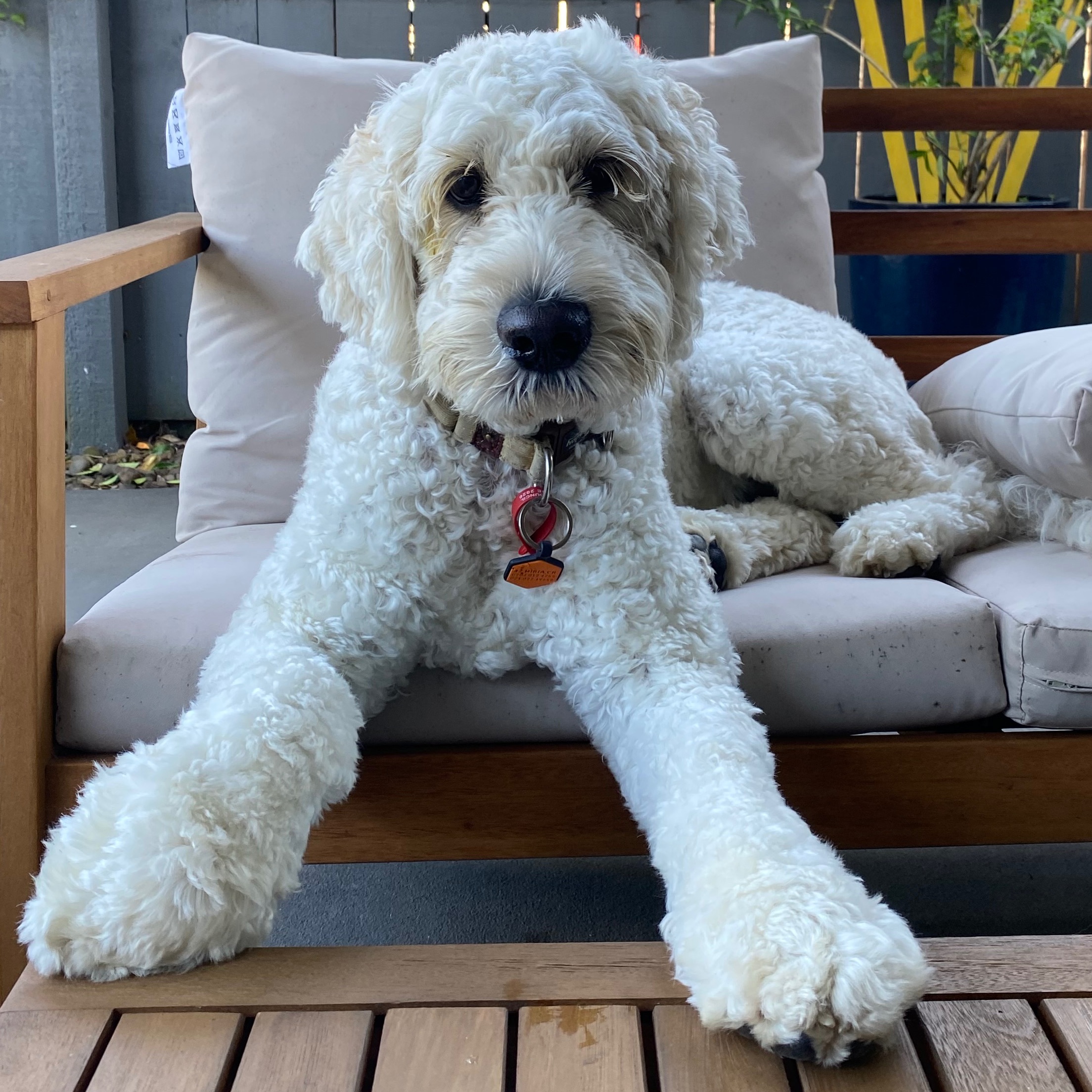 Otis