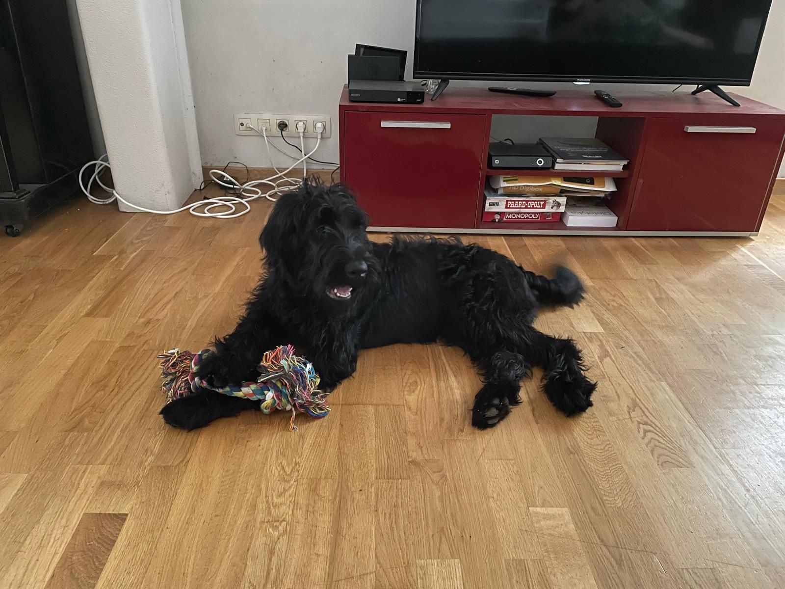 image-9