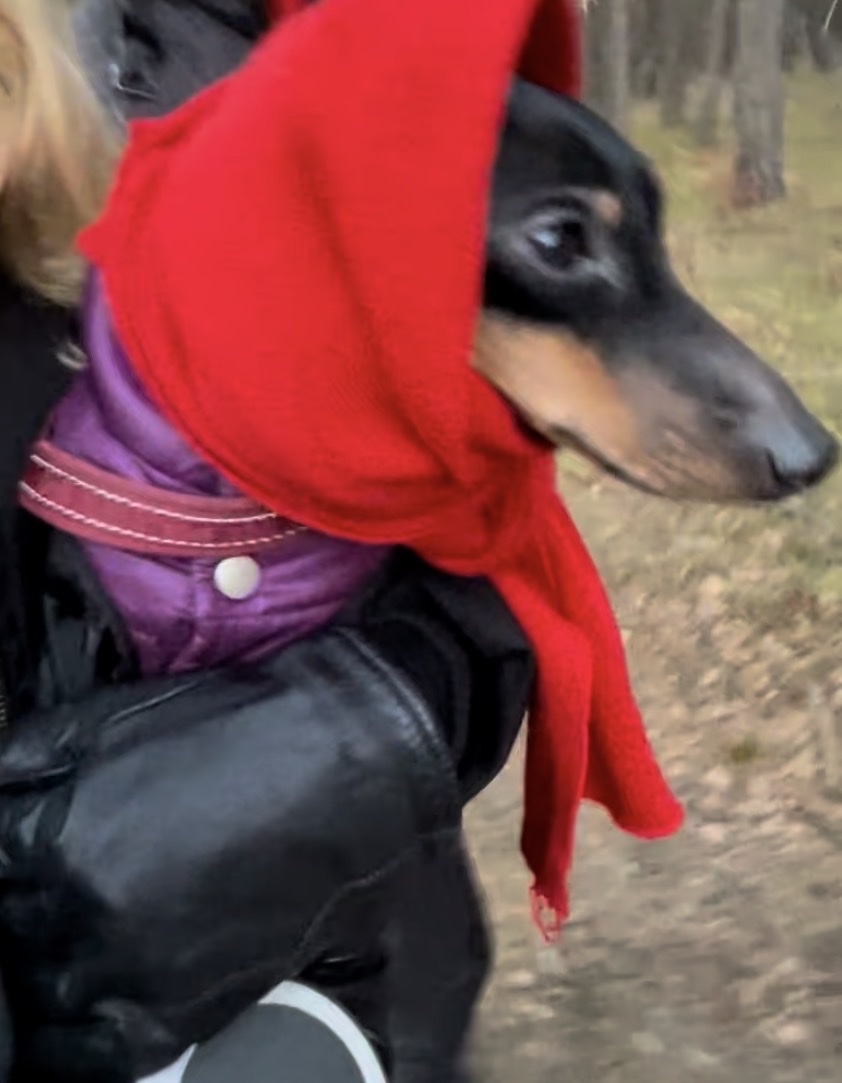 image-12