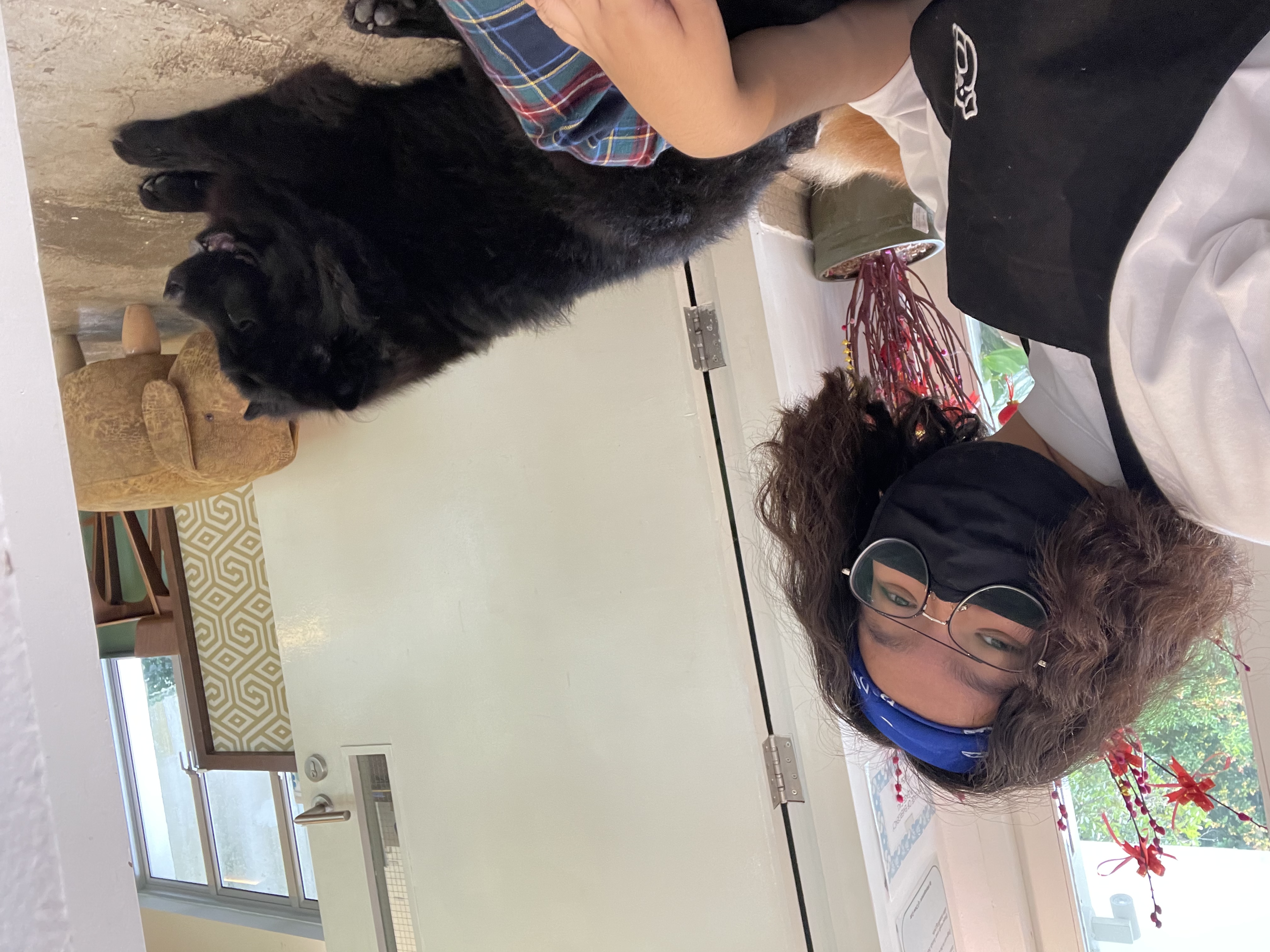 image-4