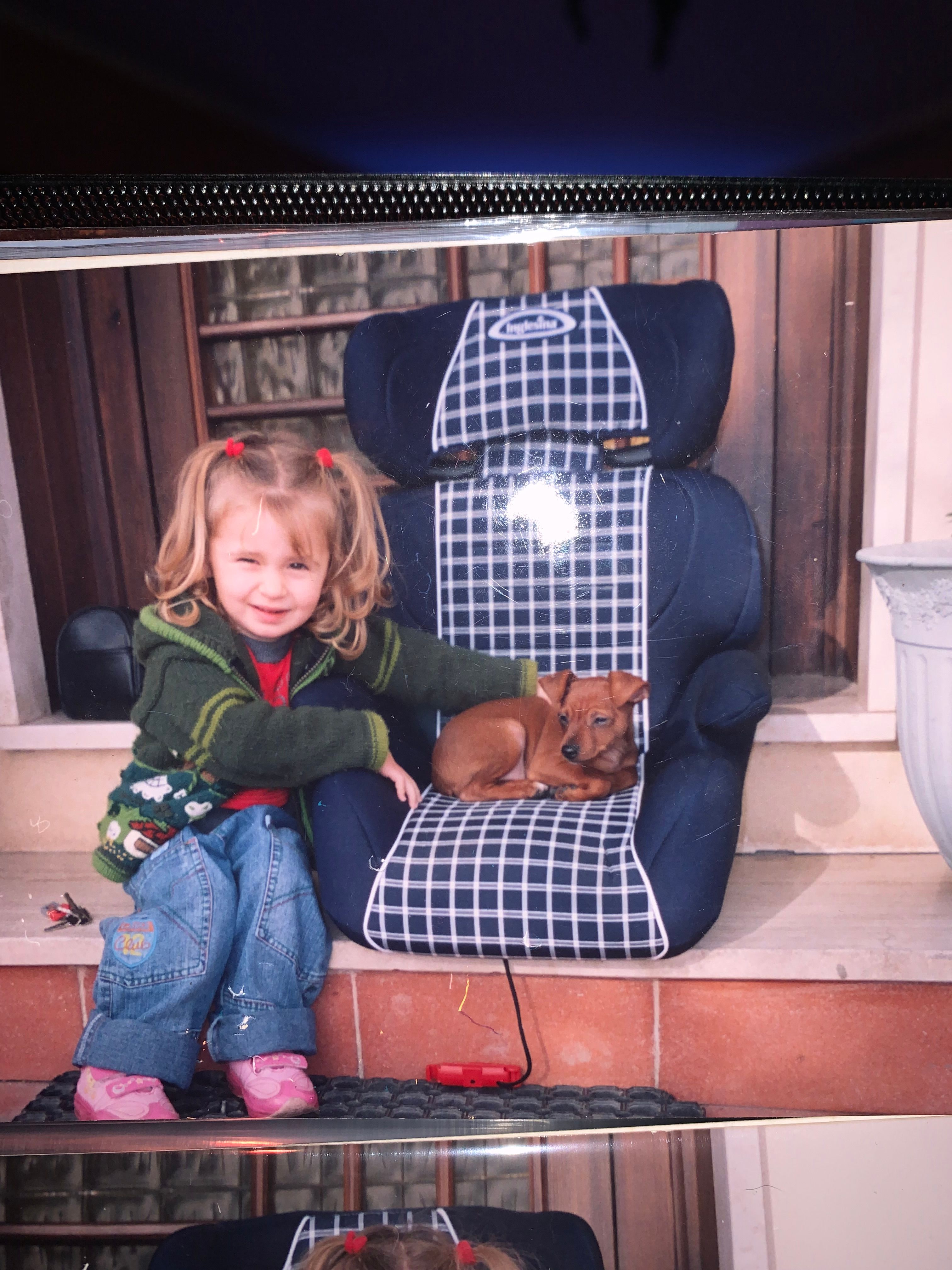 image-8
