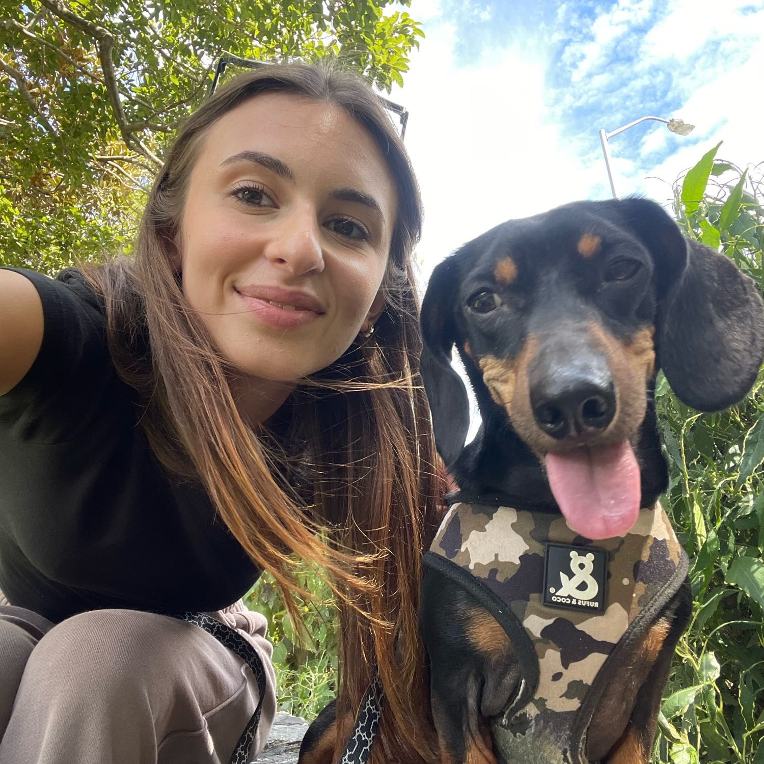 Sofia