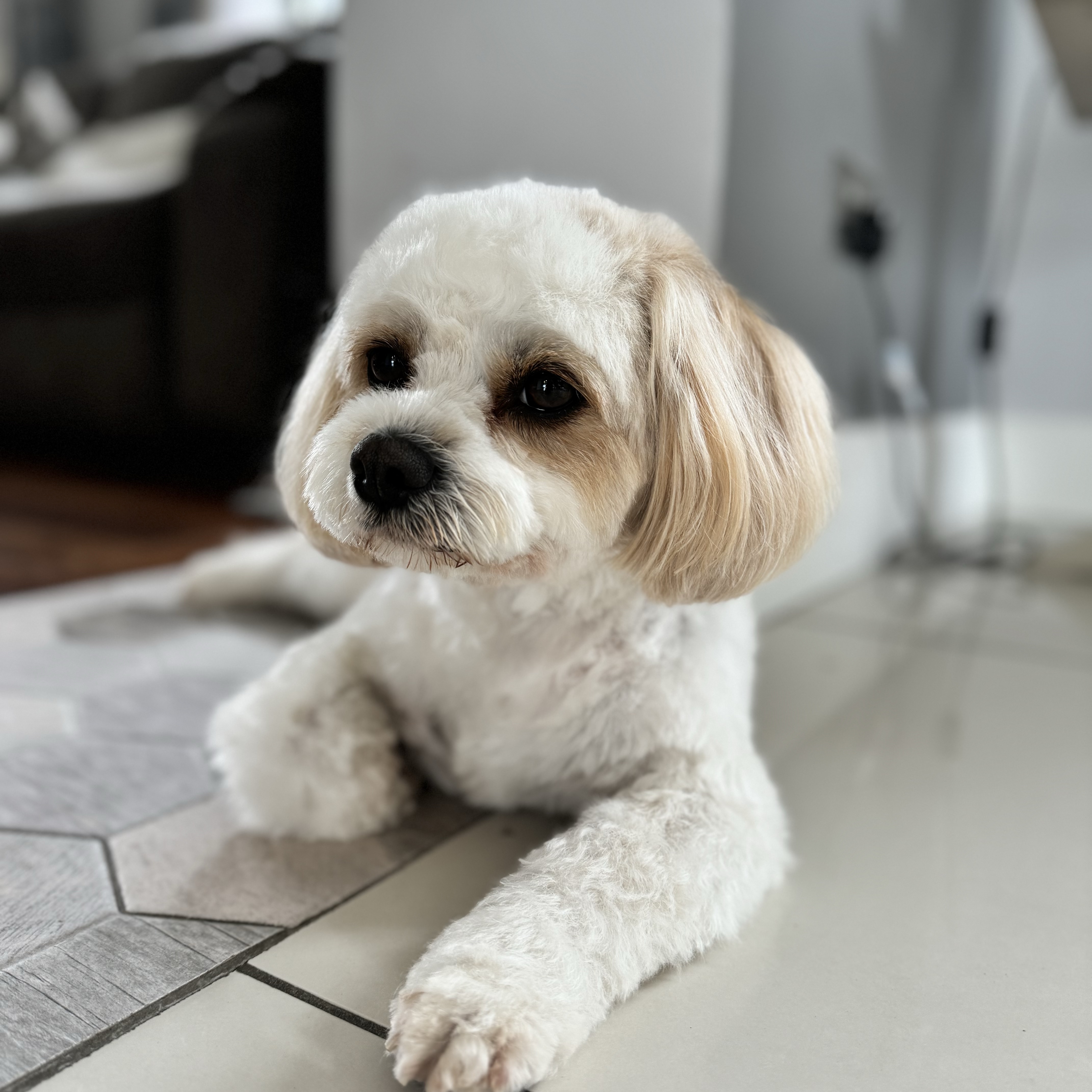 Bailey