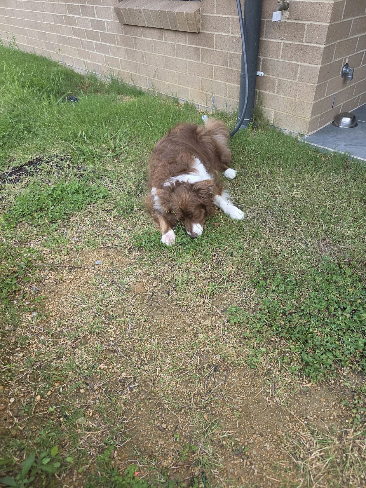 image-16