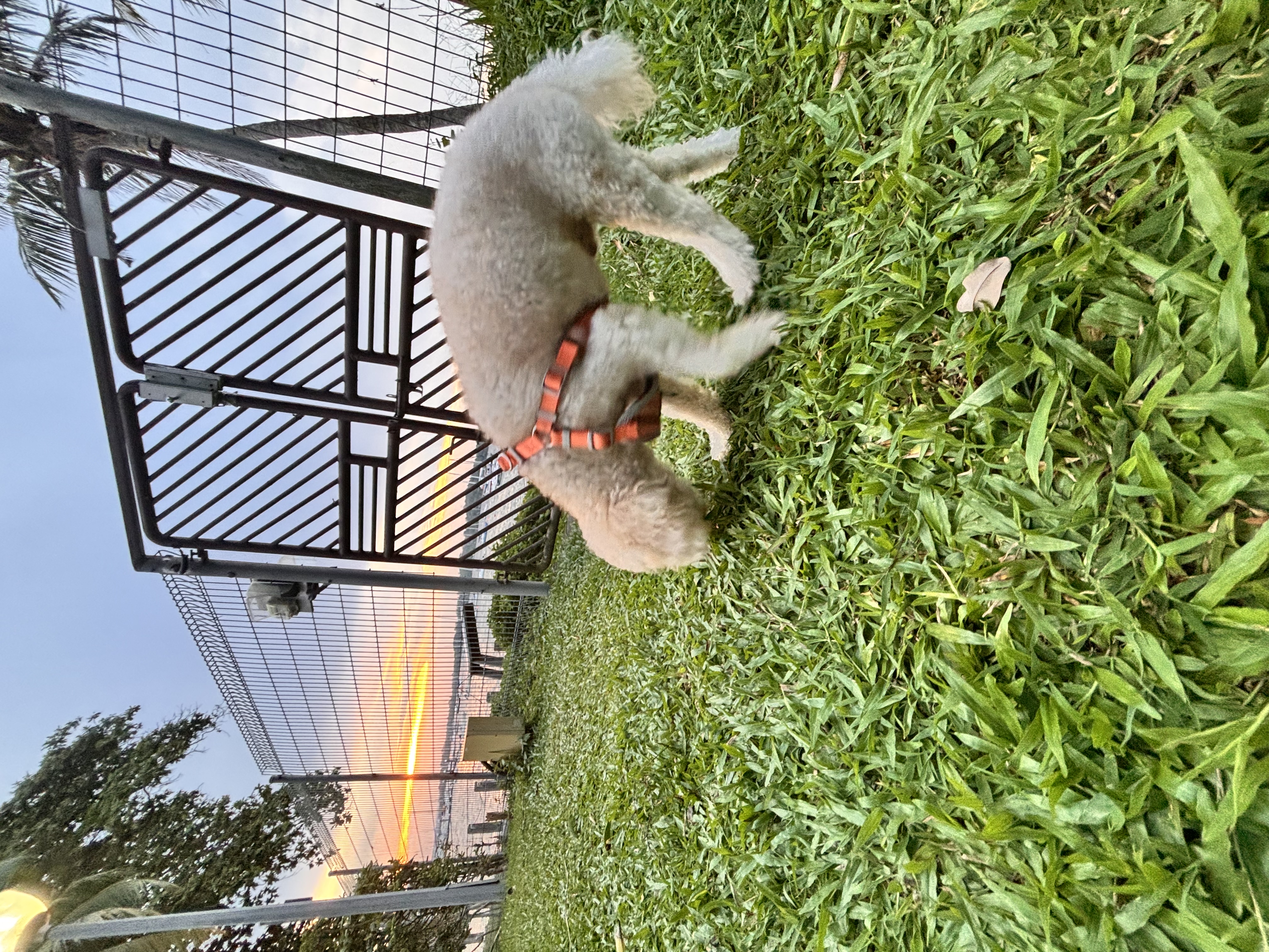image-5