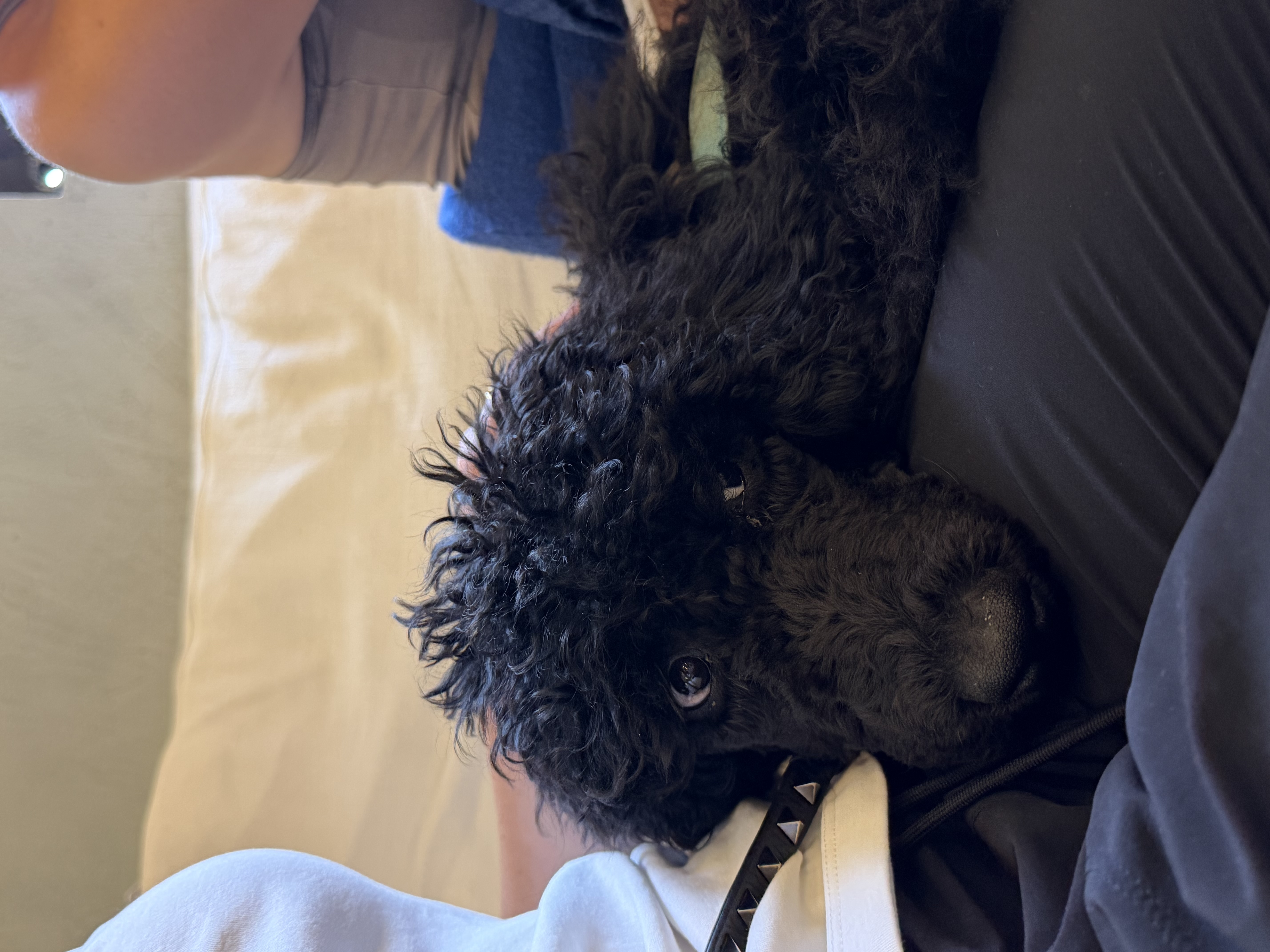 image-7