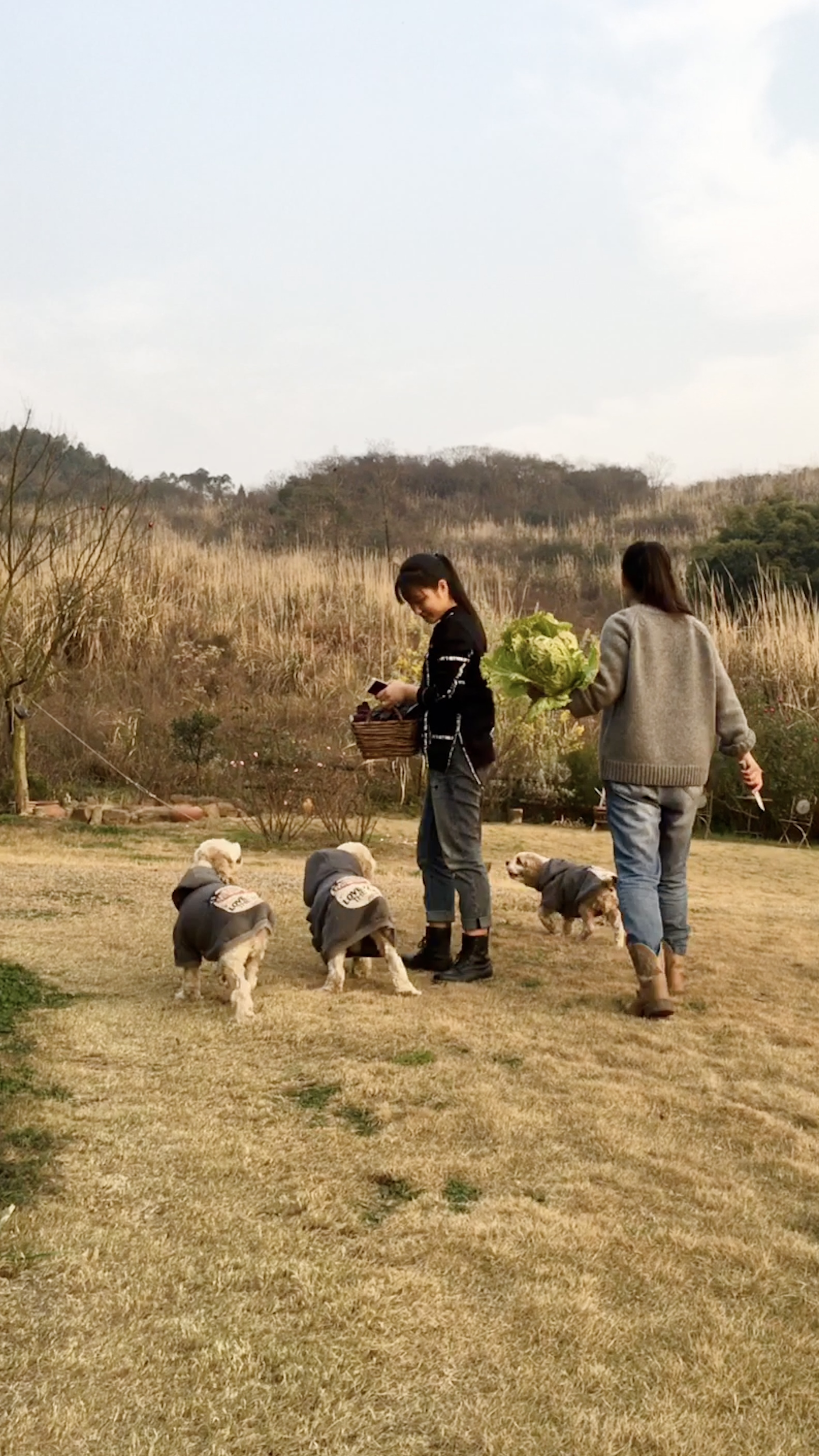 image-7