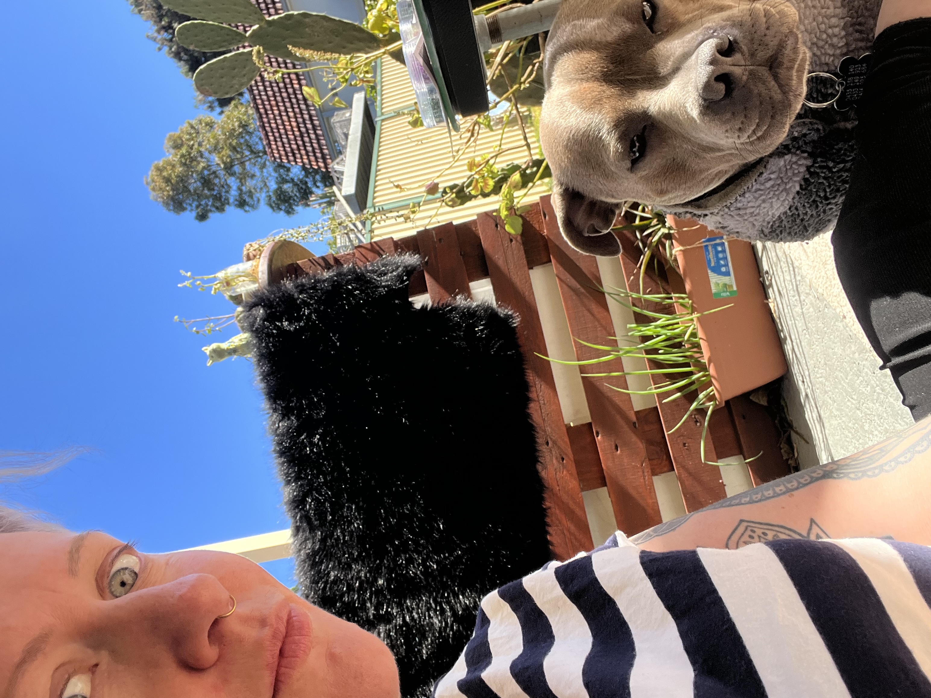 image-1