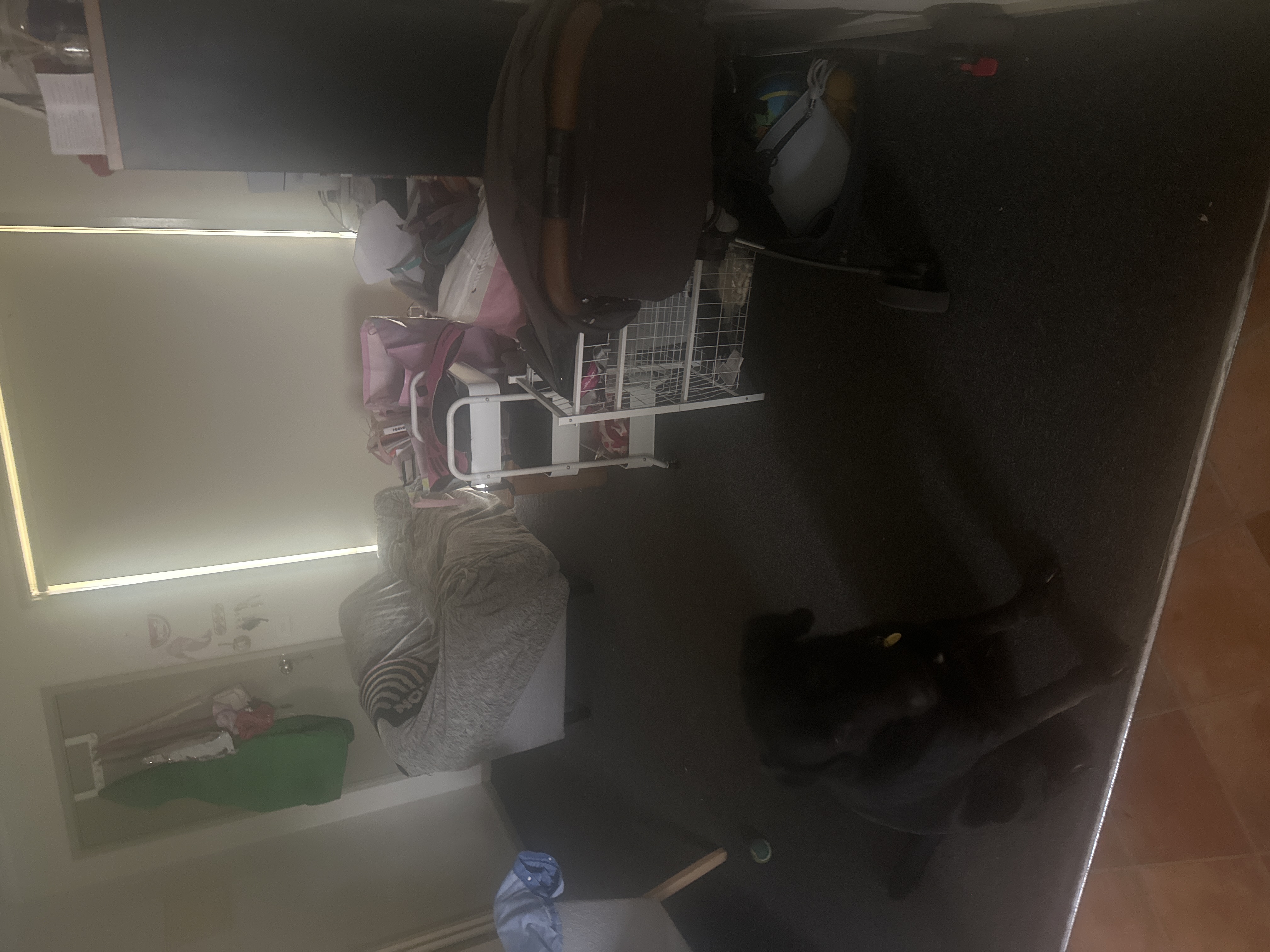 image-24