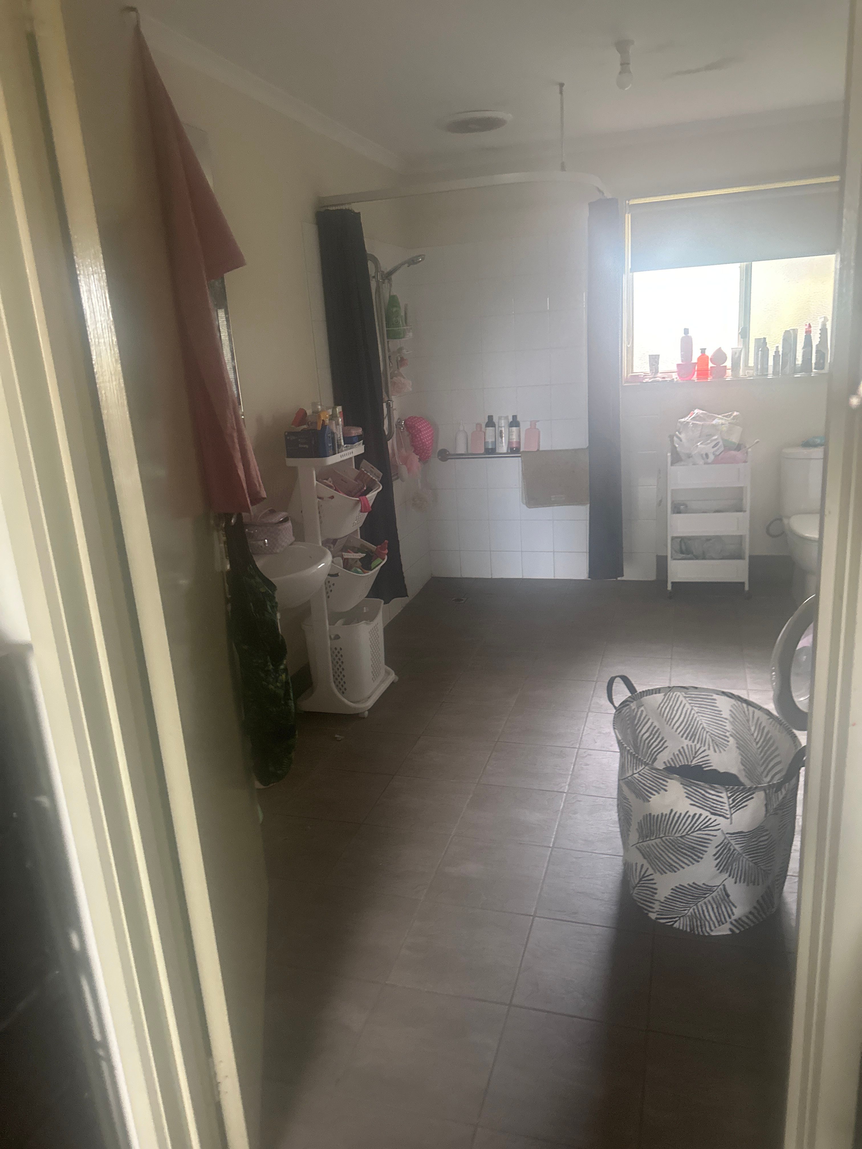image-20