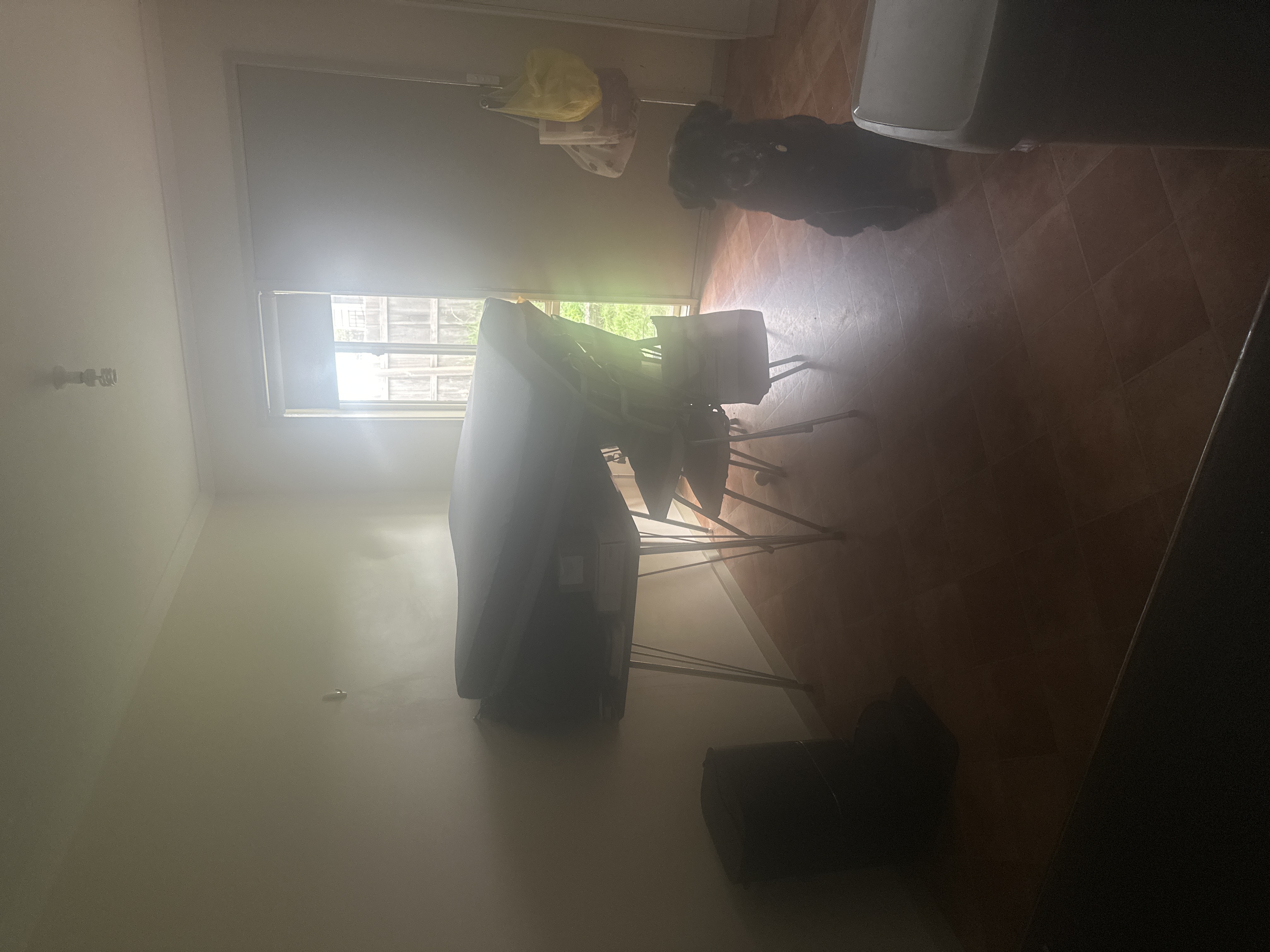 image-26