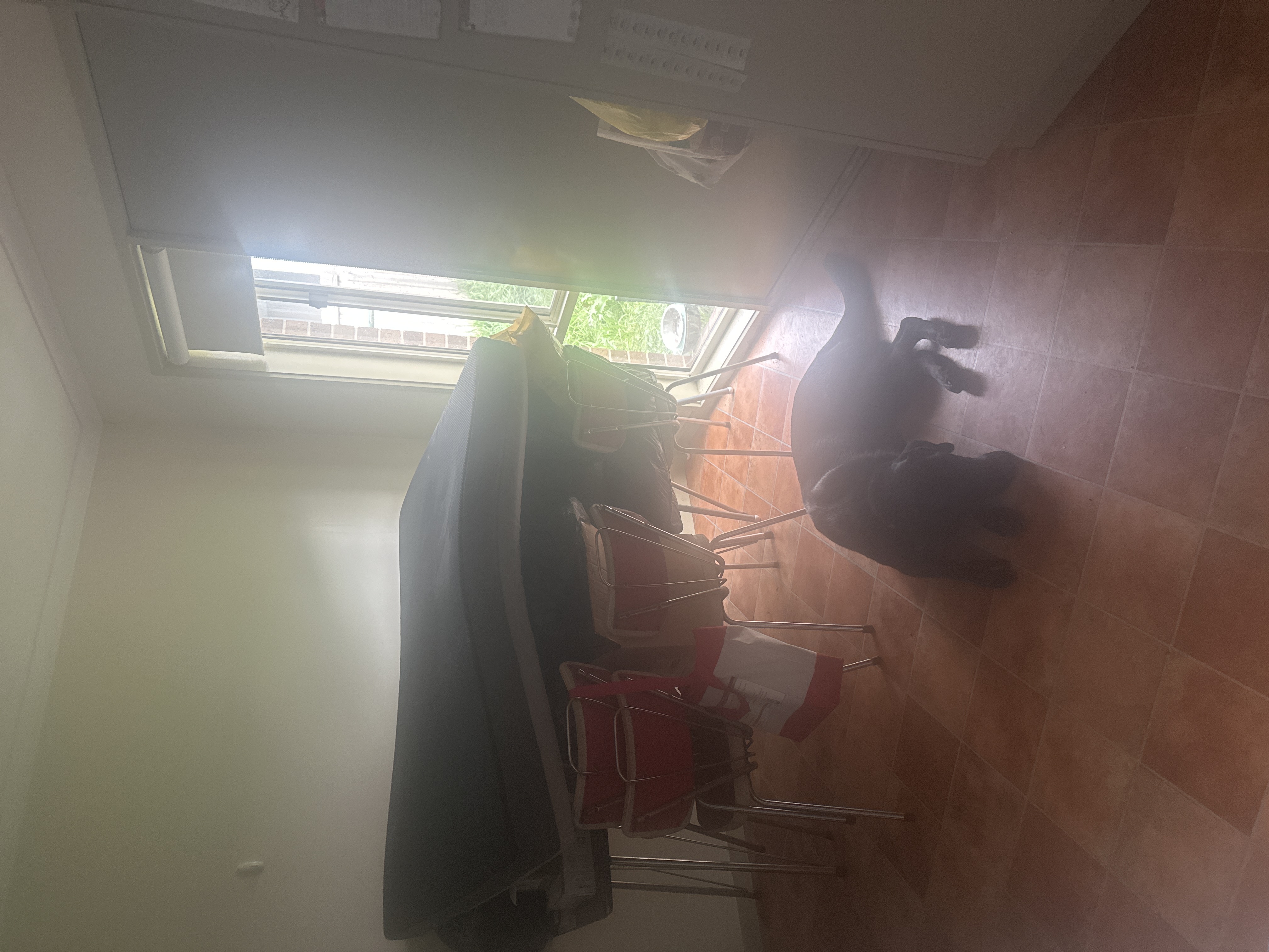 image-28