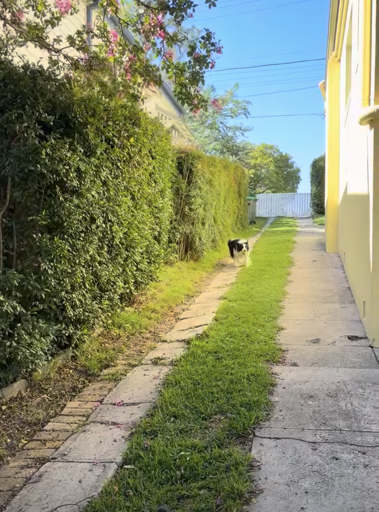 image-9