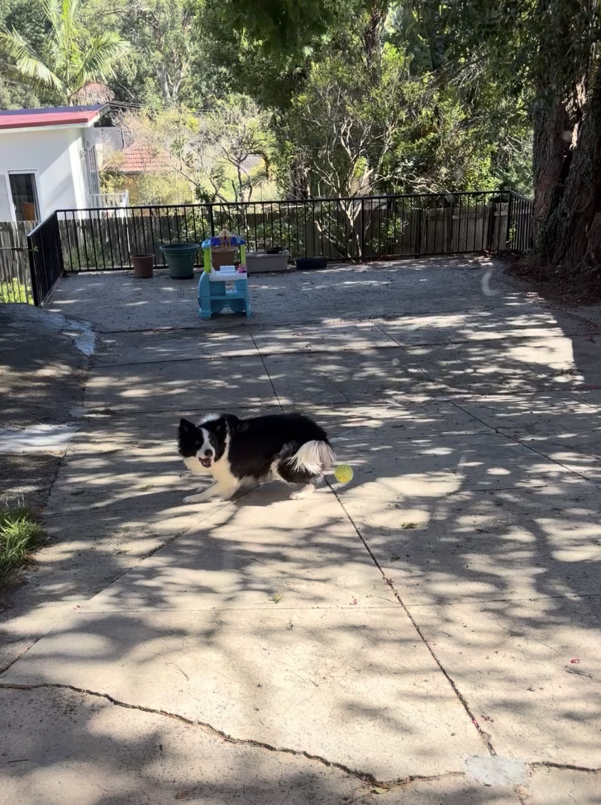 image-10