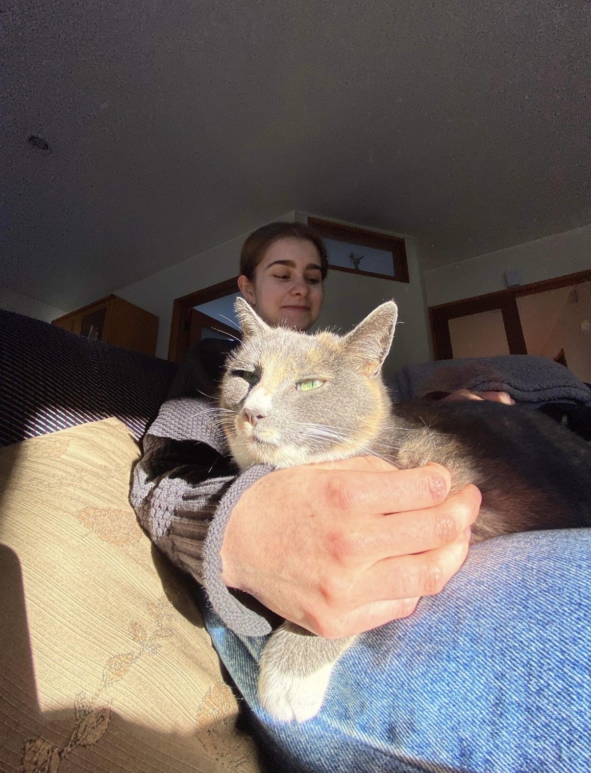 image-5