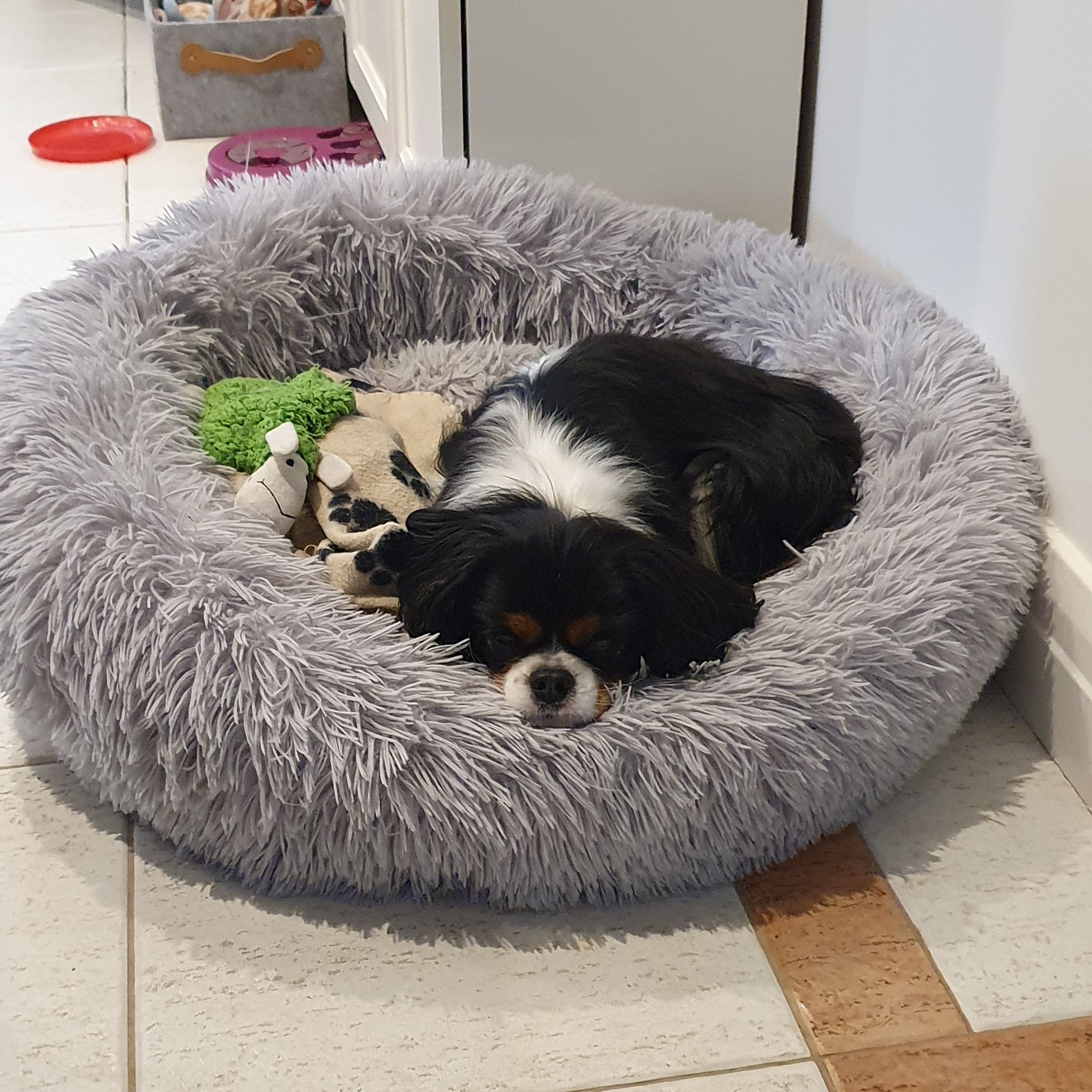 Fiona