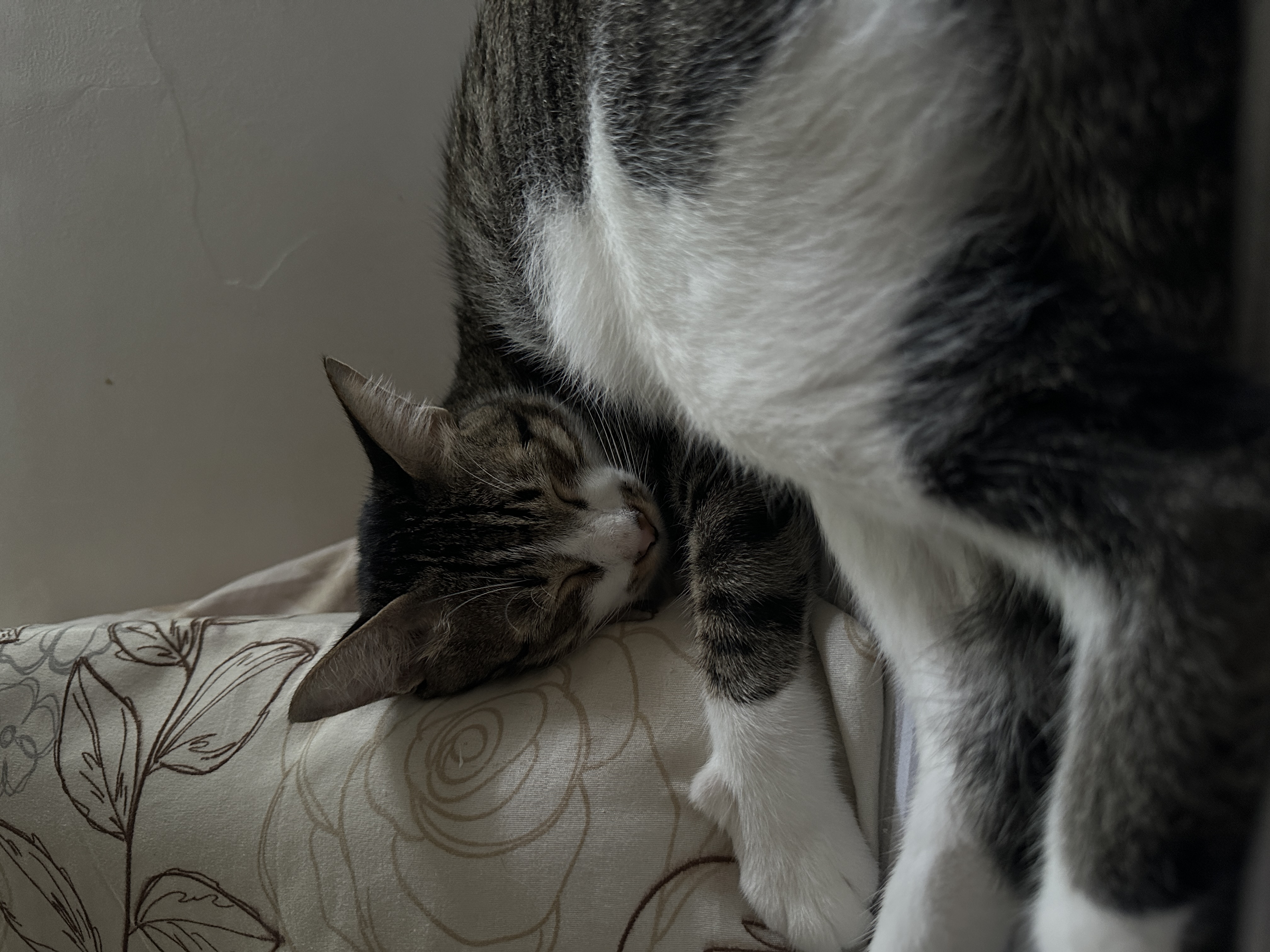 image-9
