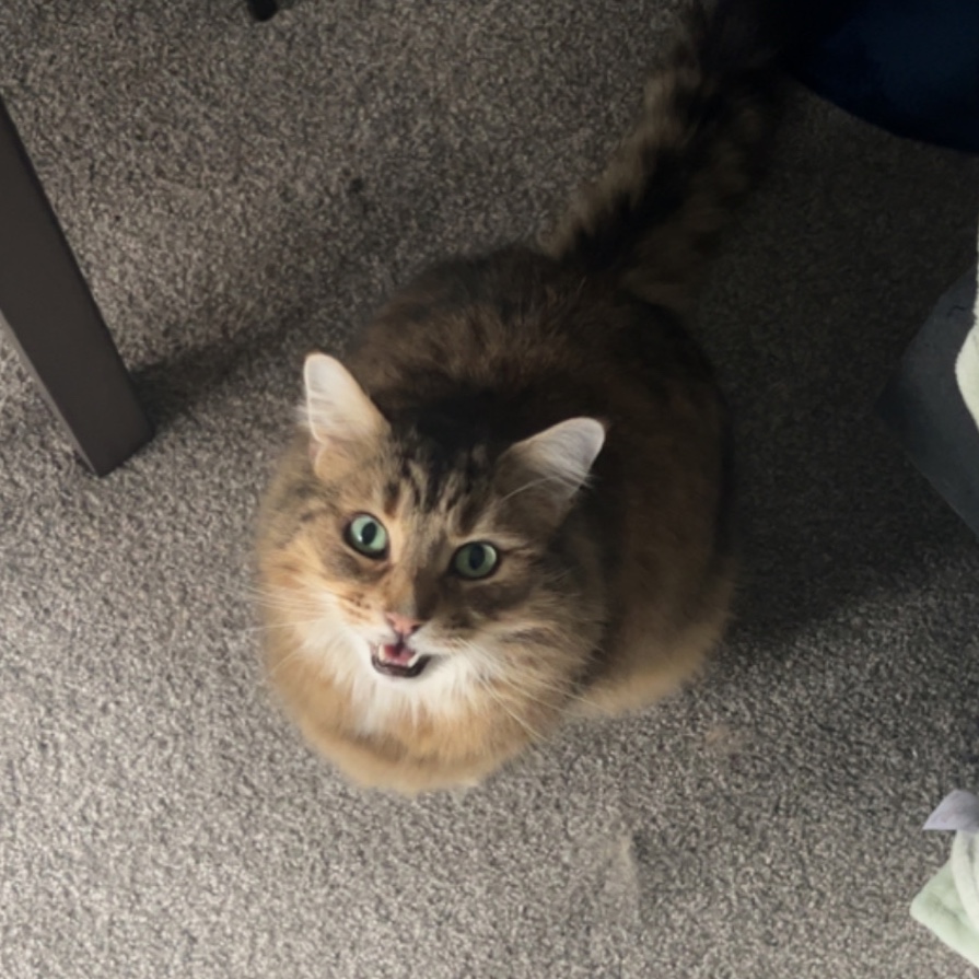 Leo