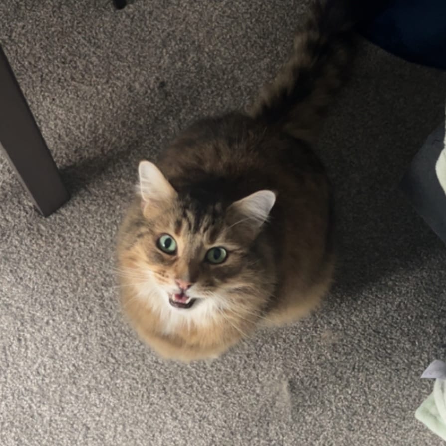 Leo